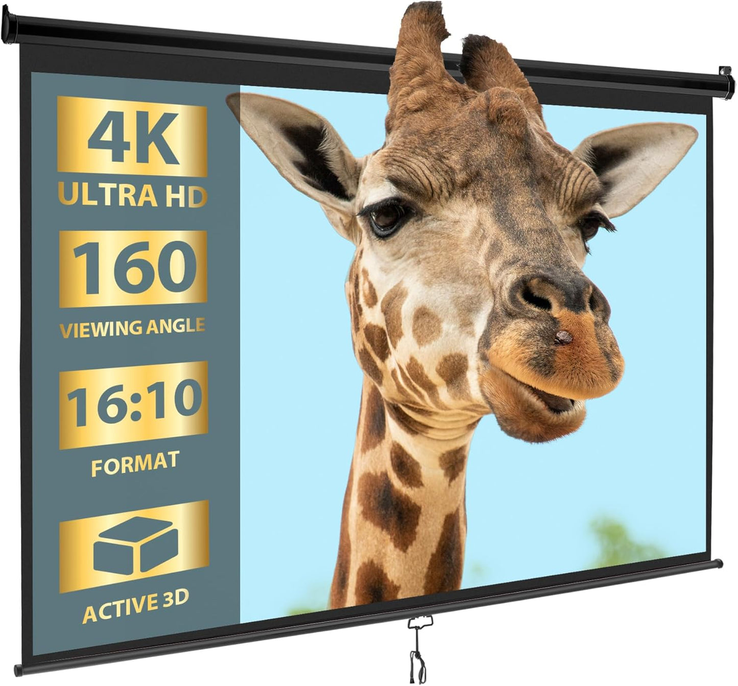 100ft' Portable Projector Movie Screen for Home Theater Use