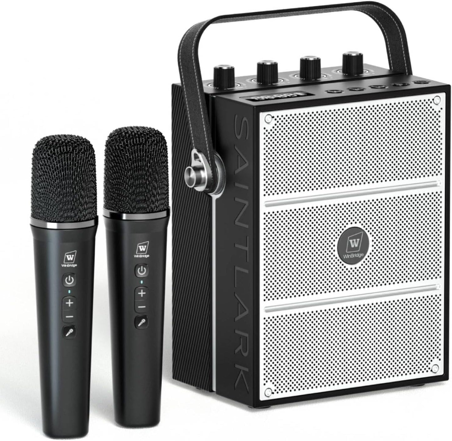 100W Powerful Voice Amplifier with Dual Wireless Microphones