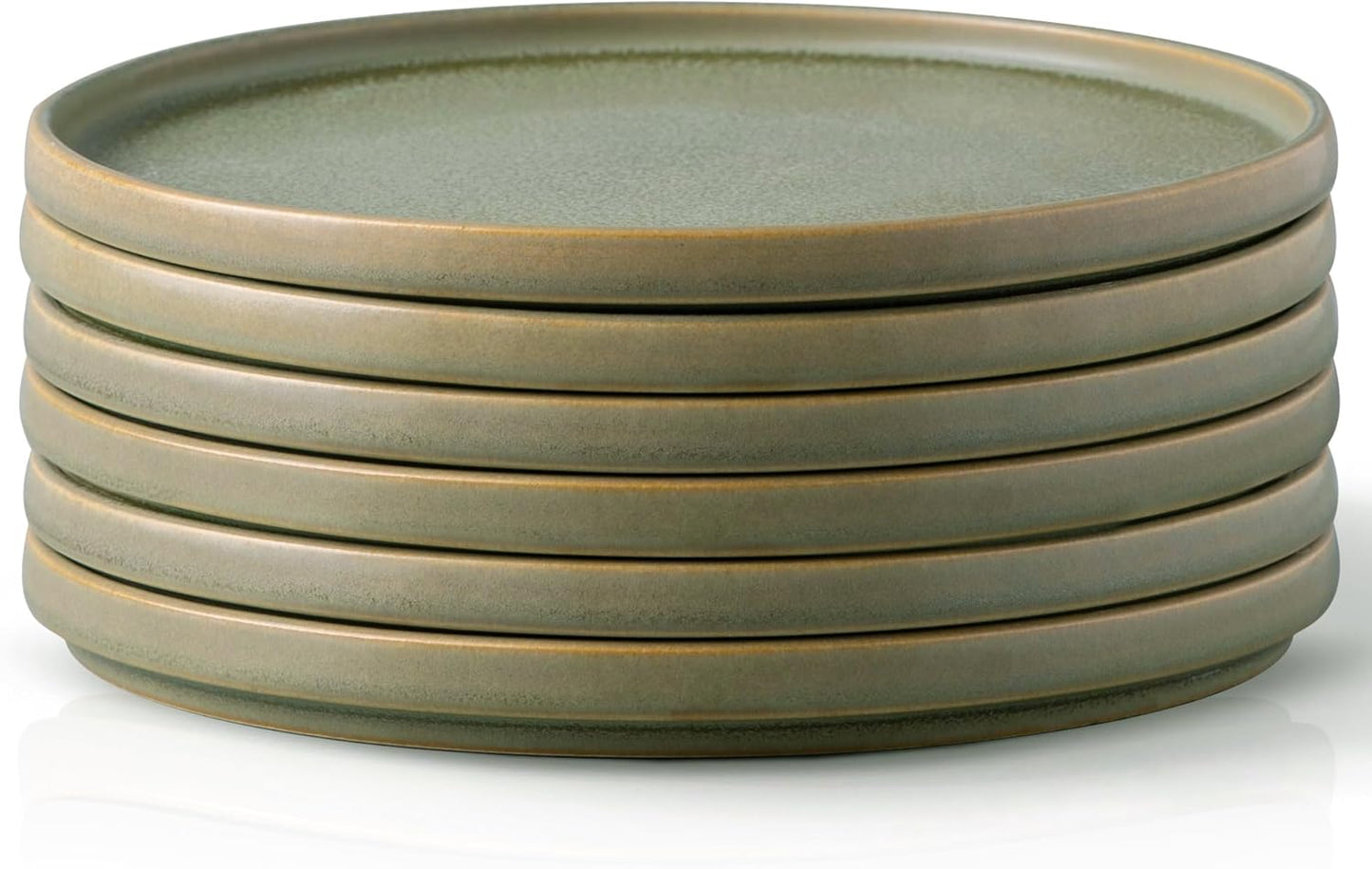 Unique Stoneware Dinner Plates Set of 6 for Modern Dining