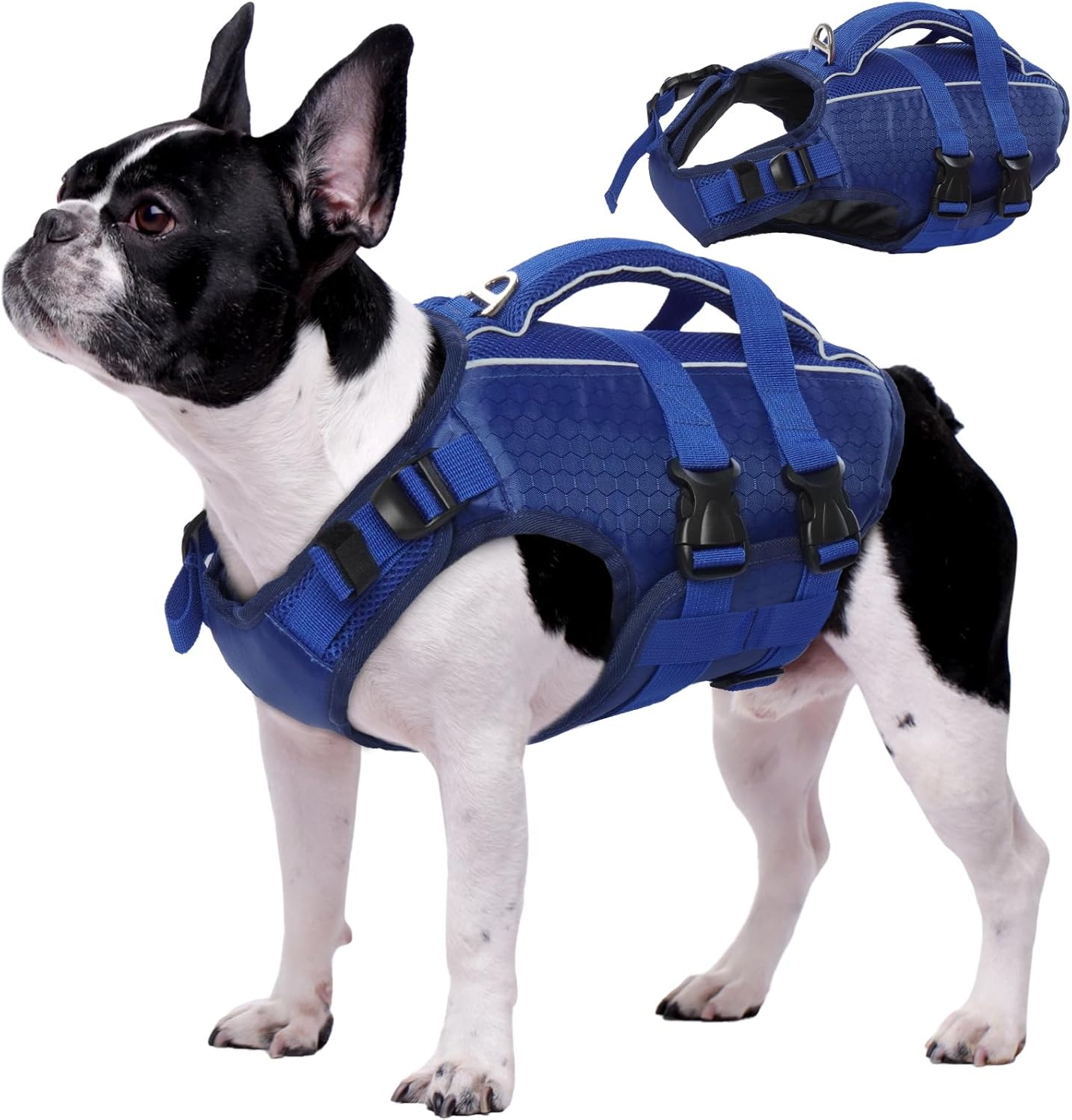 Kuoser Dog Life Jacket High Flotation for Safe Swimming Fun