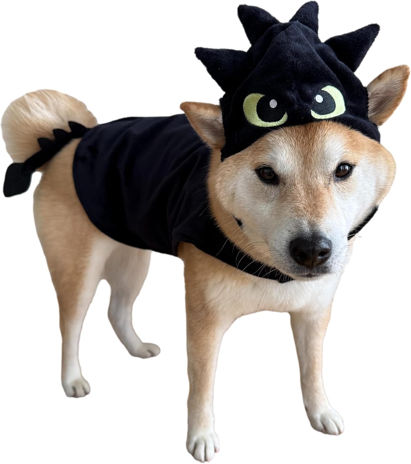 ComfyCamper Dragon Dog Costume for Dogs - Fun Halloween Outfit