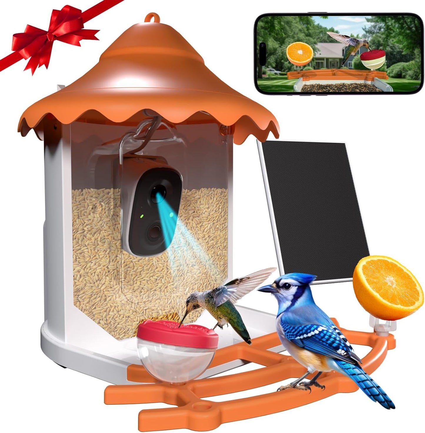 Smart Birdwatcher Kit - Live Alerts, Solar Powered, Species Recognition