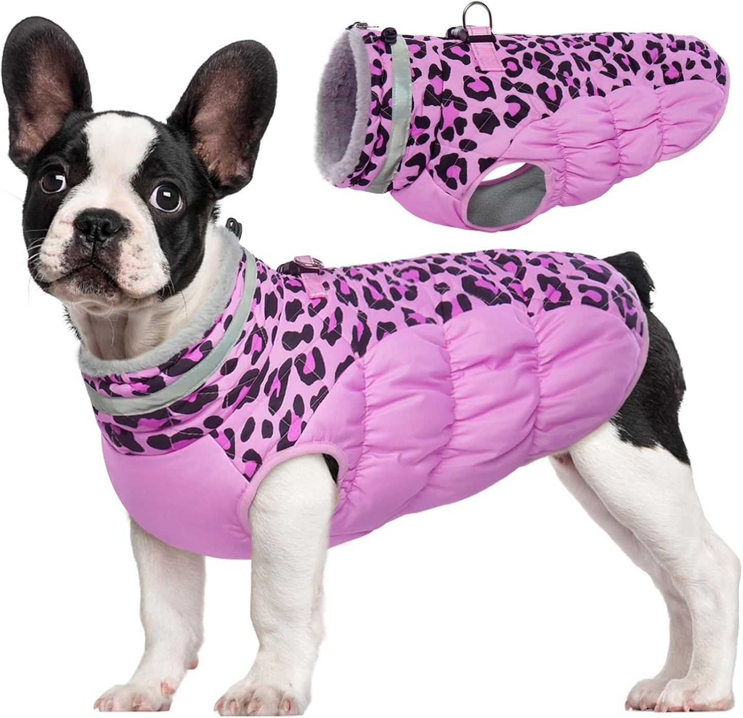 FUAMEY Dog Coat for Small Dogs - Waterproof Winter Jacket