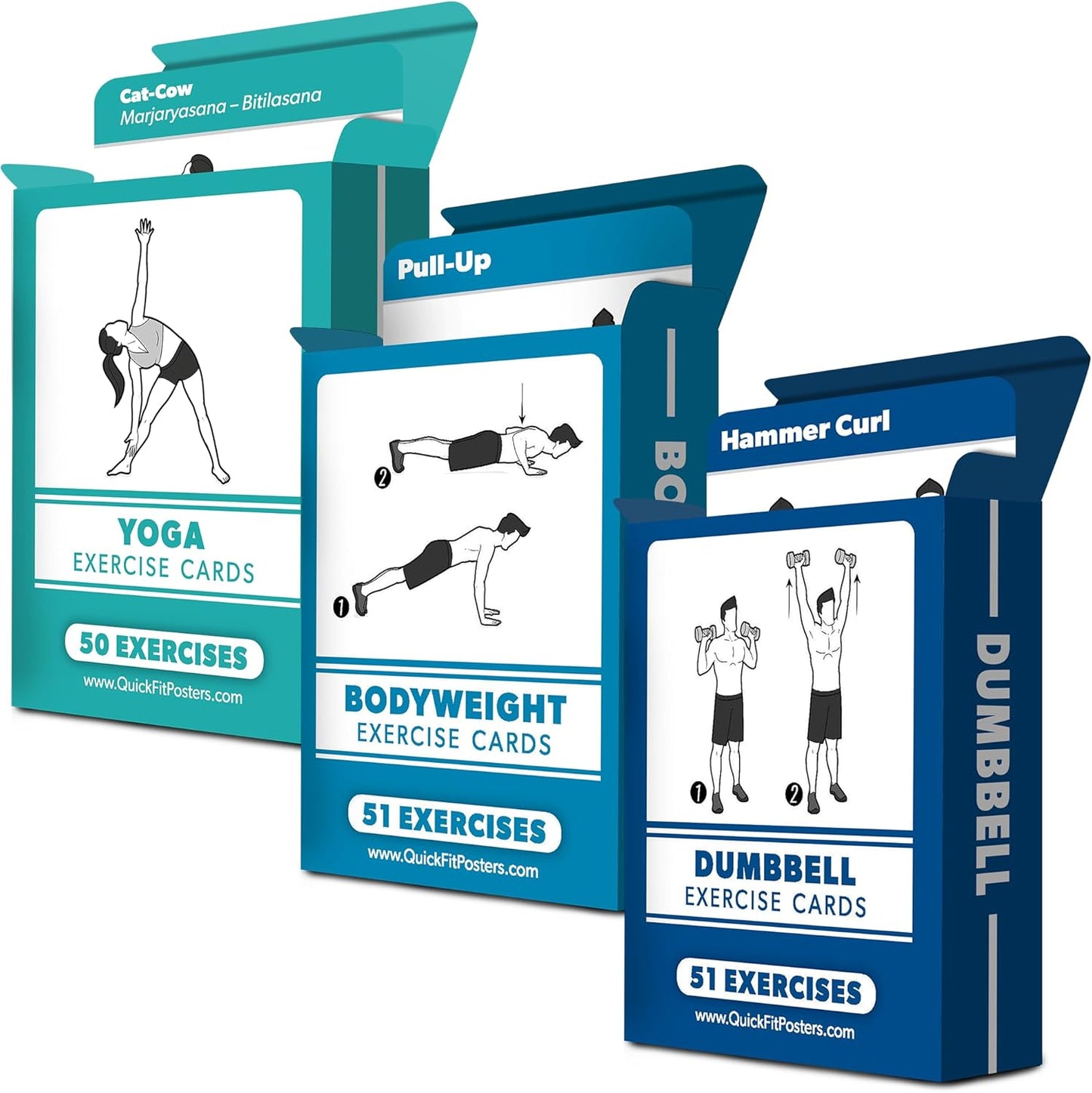 3-in-1 Fitness Cards Pack - Palace Learning