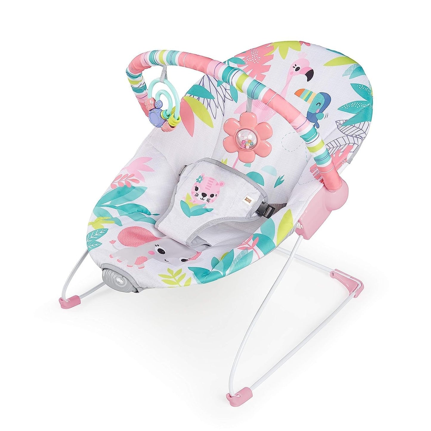 Bright Starts Baby Bouncer - Soothing Vibrations, Removable Toy Bar