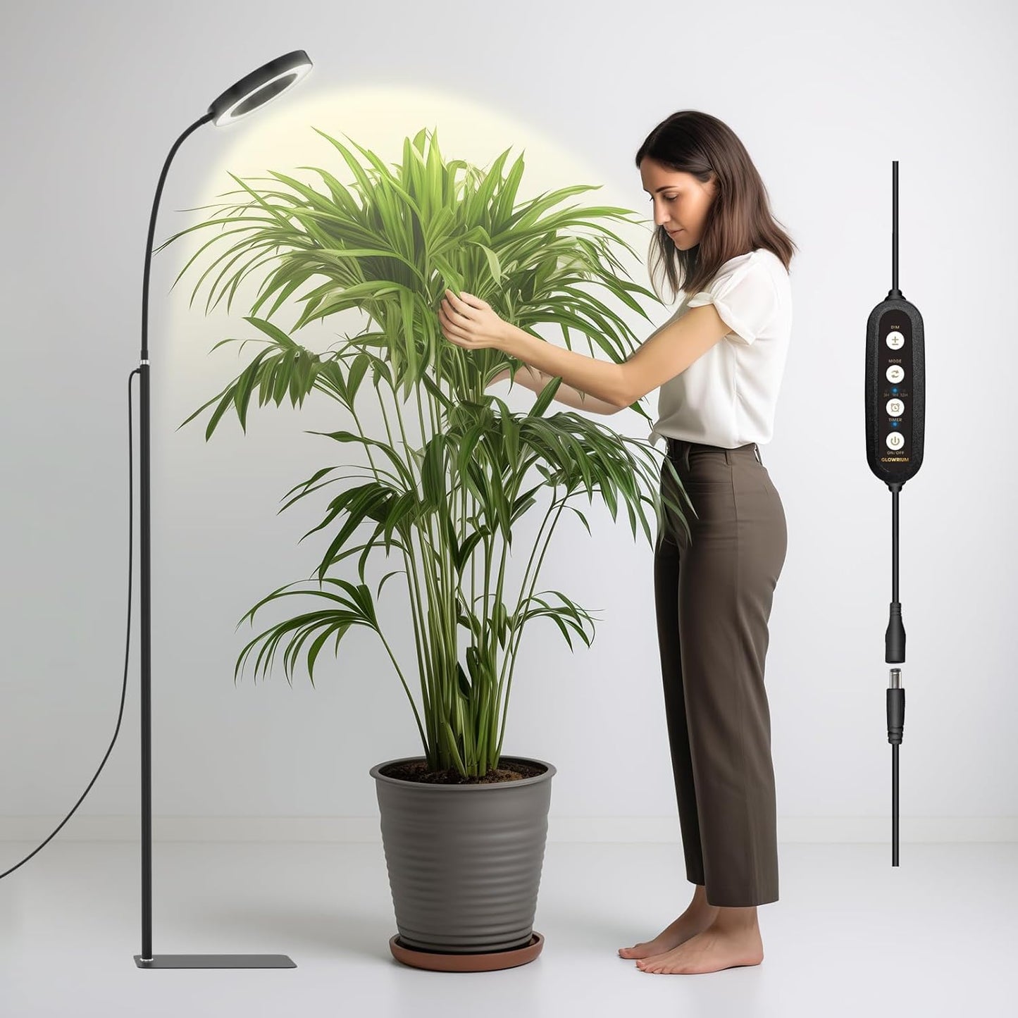 GLOWRIUM Grow Lights for Indoor Plants with Adjustable Height