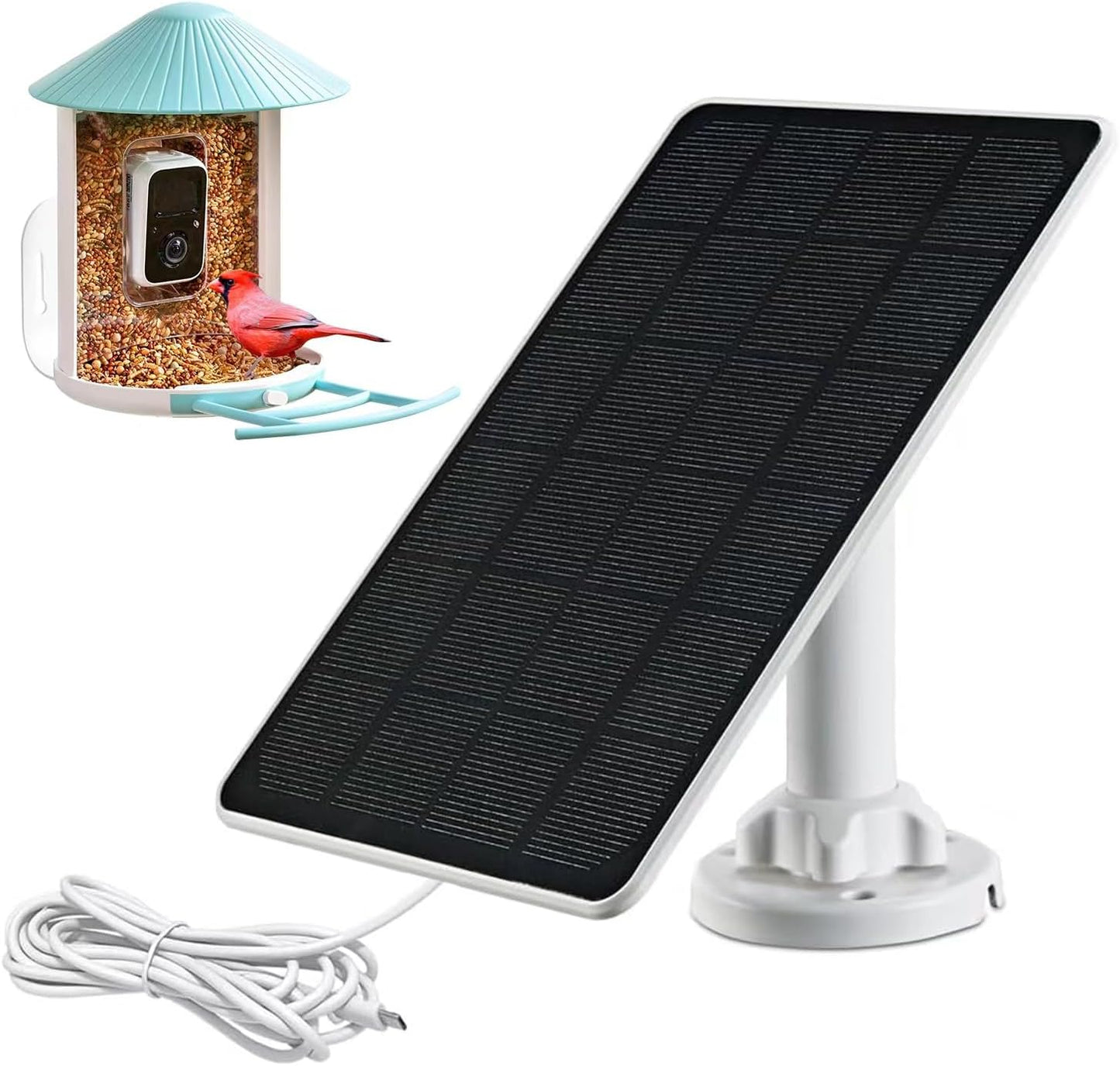 Uninterrupted Power for Bird Cam