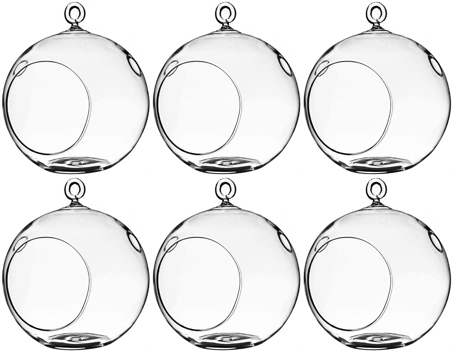 WGV Hanging Terrarium Globe for DIY Air Succulent Planter