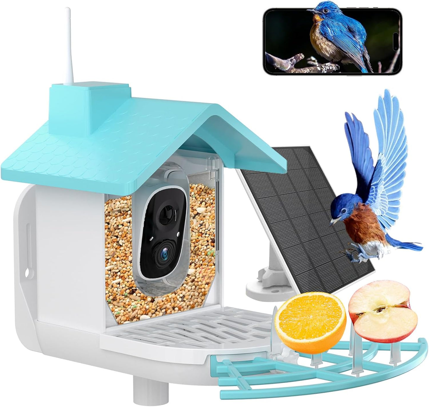 Solar Smart Bird Feeder with Camera - Squirrel Proof, Night Vision, 1080P