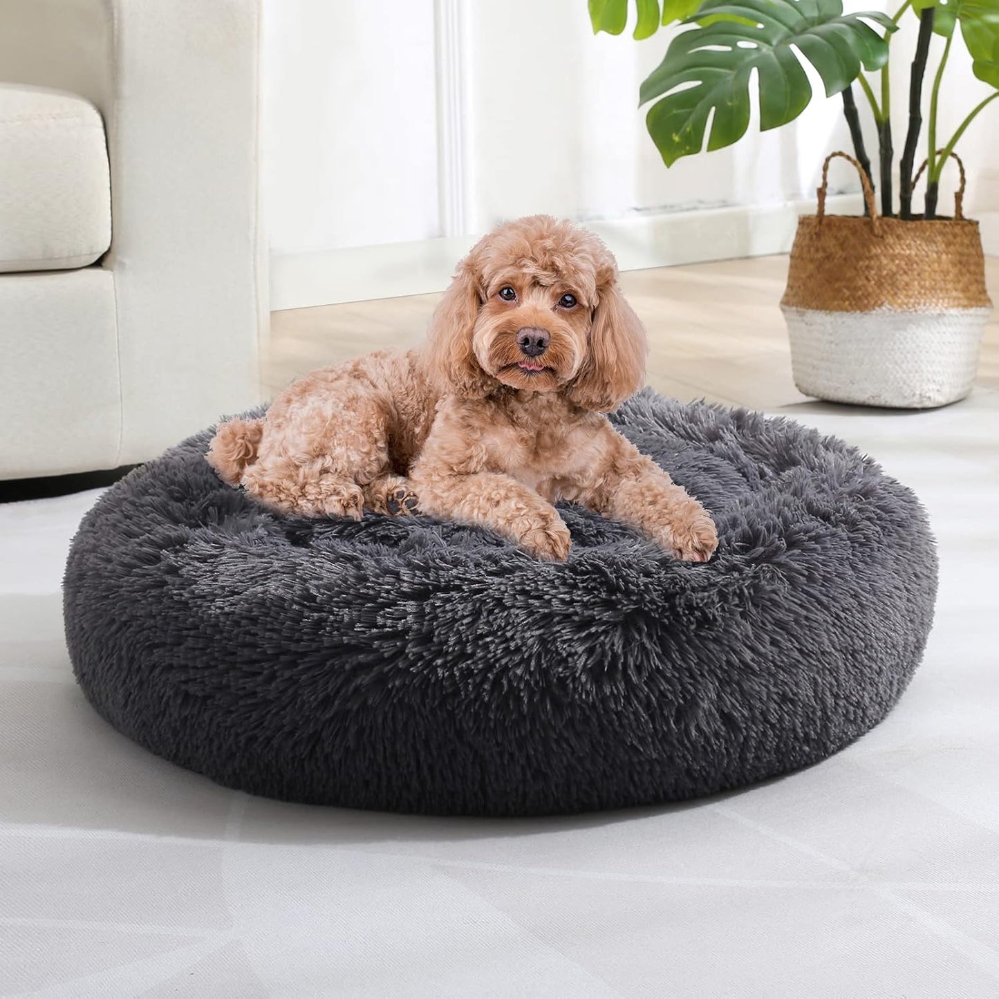 Calming Anti-Anxiety Dog Bed for Medium and Large Pets