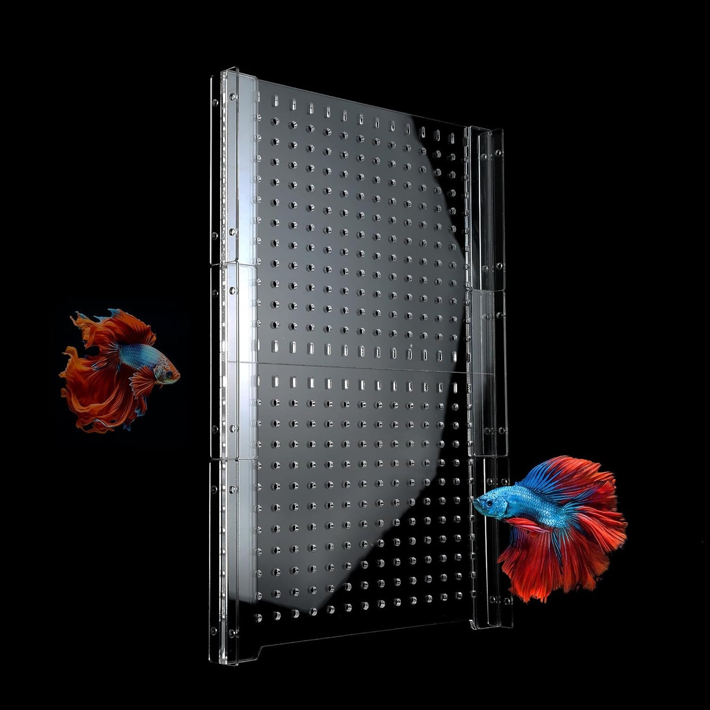 Acrylic Fish Tank Divider for 55 Gallon Aquariums - Adjustable