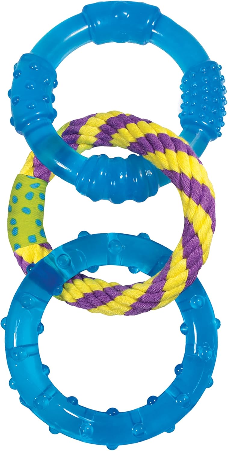 Petstages Dog Chew Toy: Dental Health!