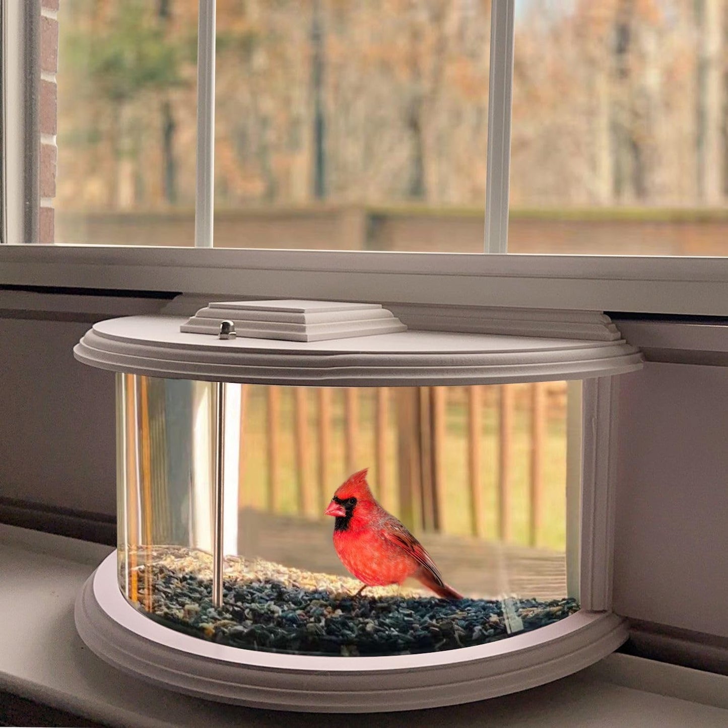 Clear View Window Bird Feeder for Joyful Bird Watching!
