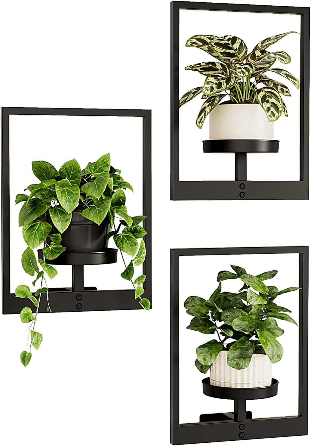 Bamworld Hanging Planters for Indoor Plants Wall Decor