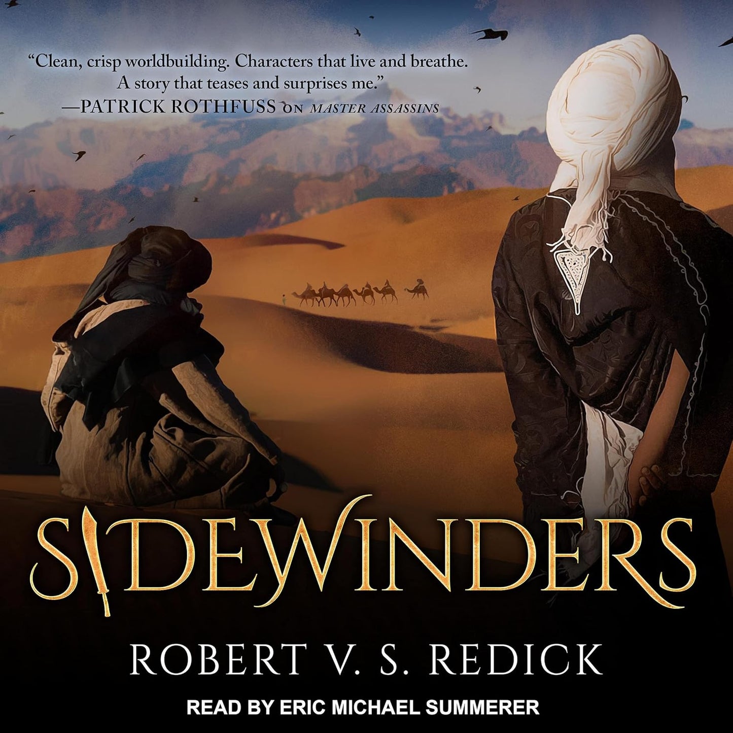 Sidewinders: A Gripping Tale of Adventure and Intrigue