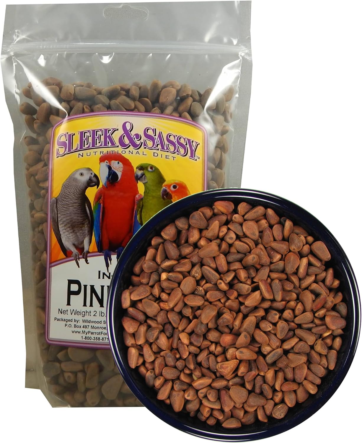 SLEEK & SASSY in-Shell Pine Nuts for Birds - Natural Treats