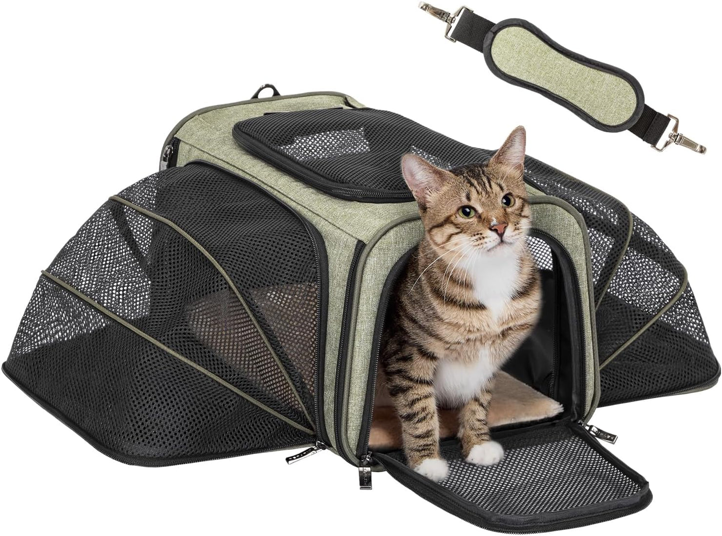 Expandable Rabbit Carrier for Travel with Soft Washable Cushion