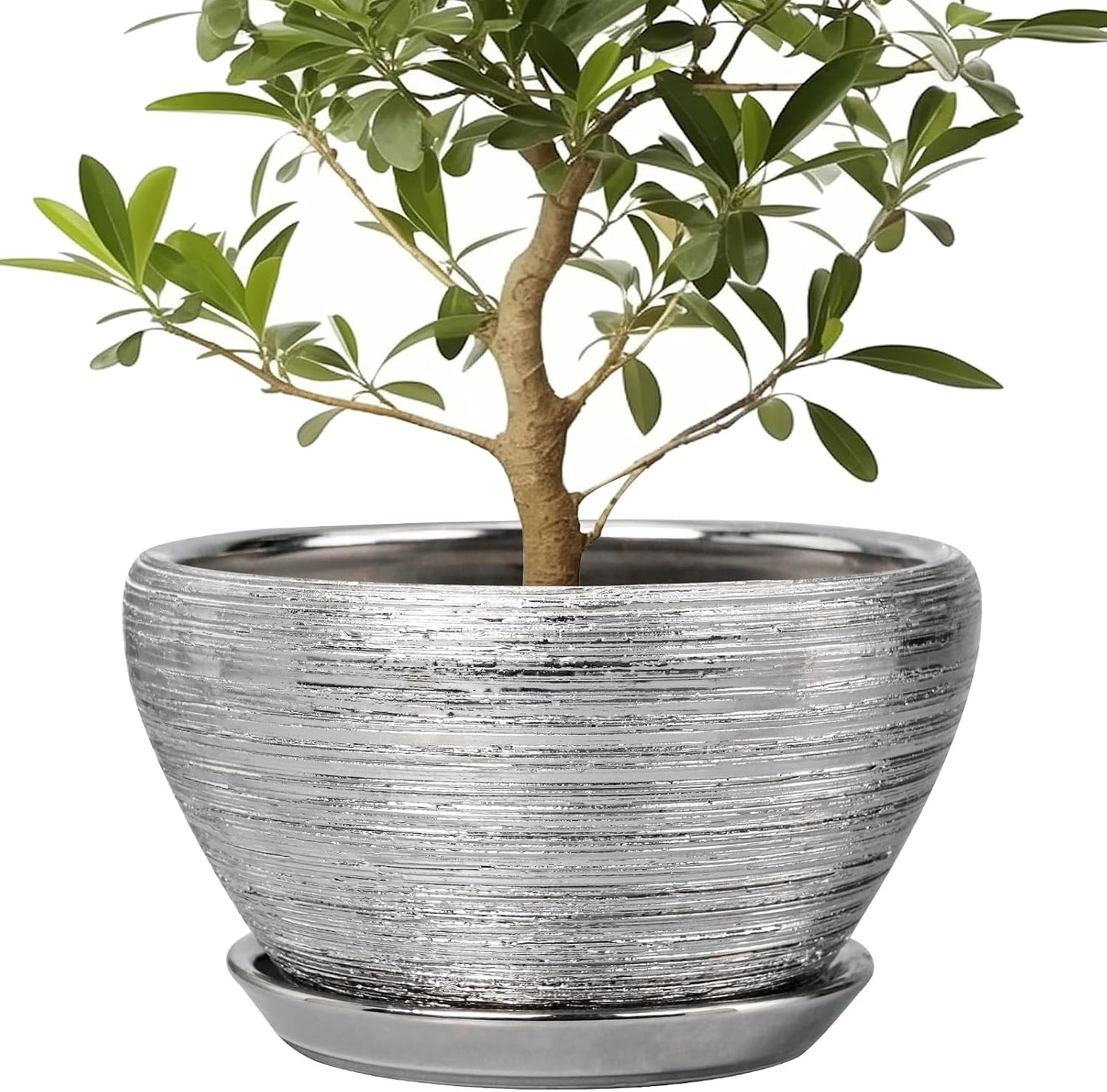 Ceramic Planter 13 Inch Pot with Drainage Hole for Indoor Plants