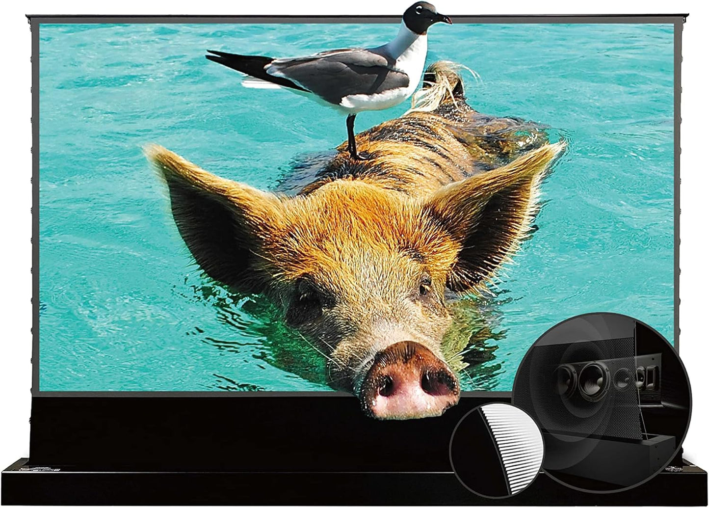 VIVIDSTORM Projector Screen with Stand S PRO P 100 inch for Home
