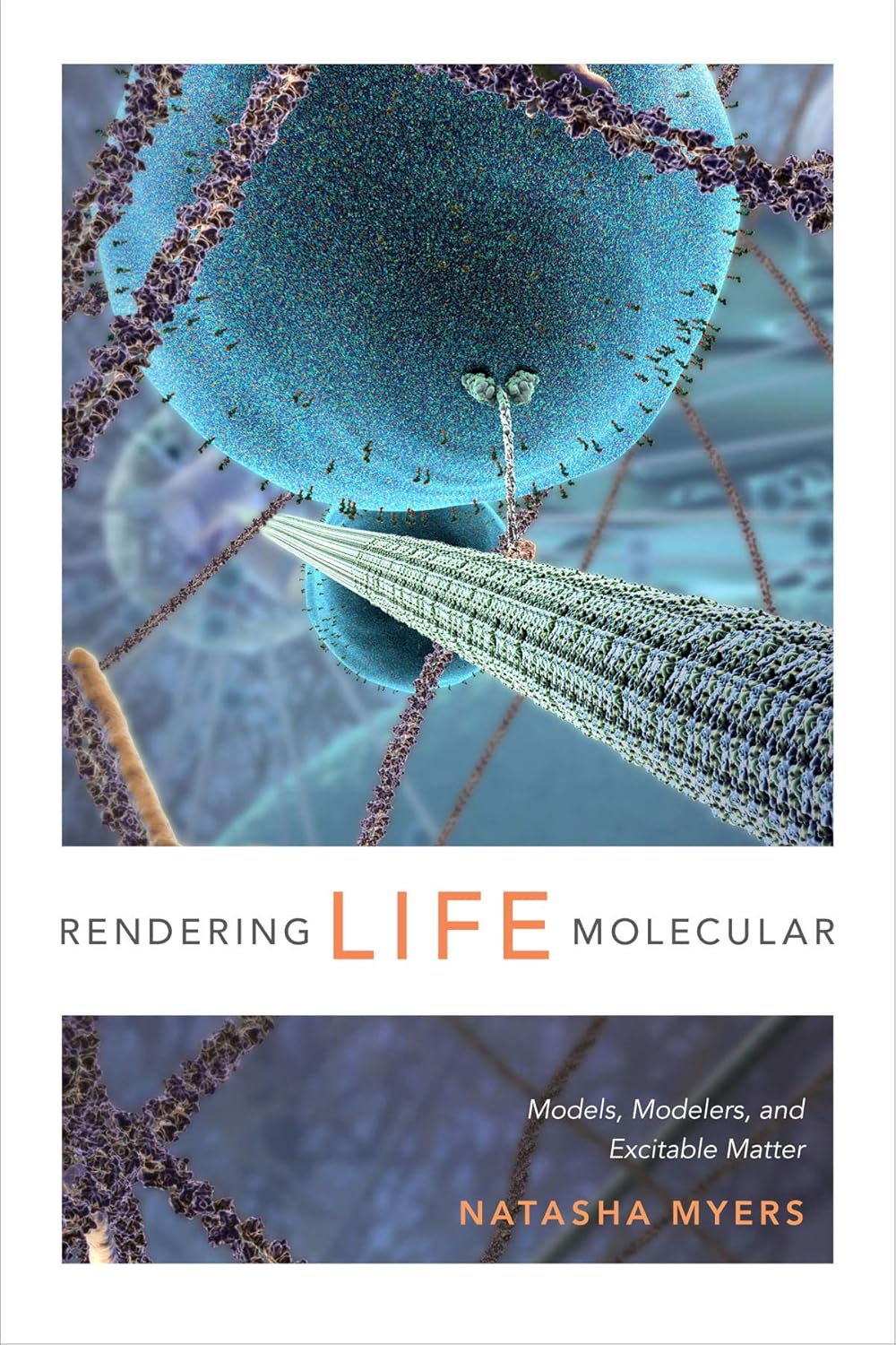 Rendering Life Molecular: Models and Modelers in Excitable Matter