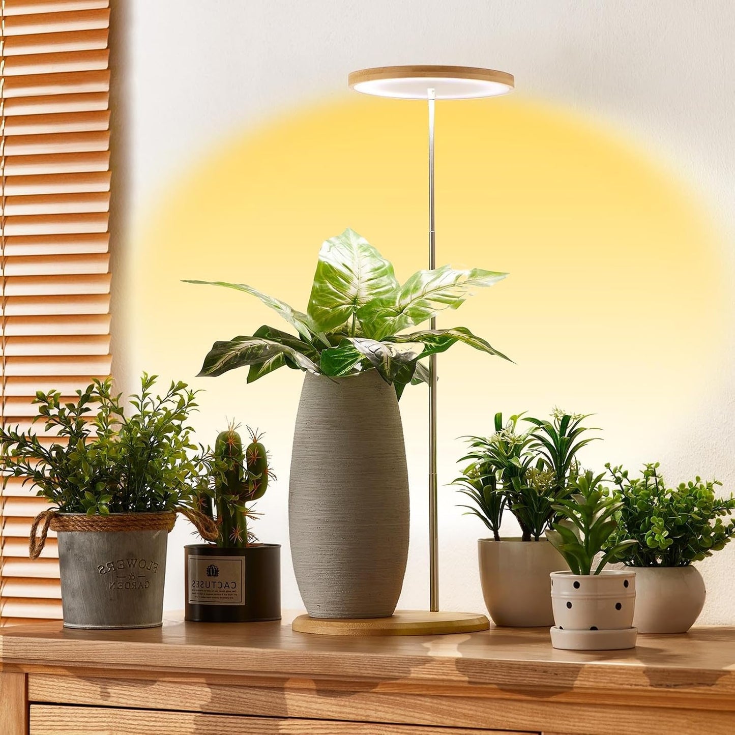 Plant Grow Light for Indoor Plants with Adjustable Height and Timer