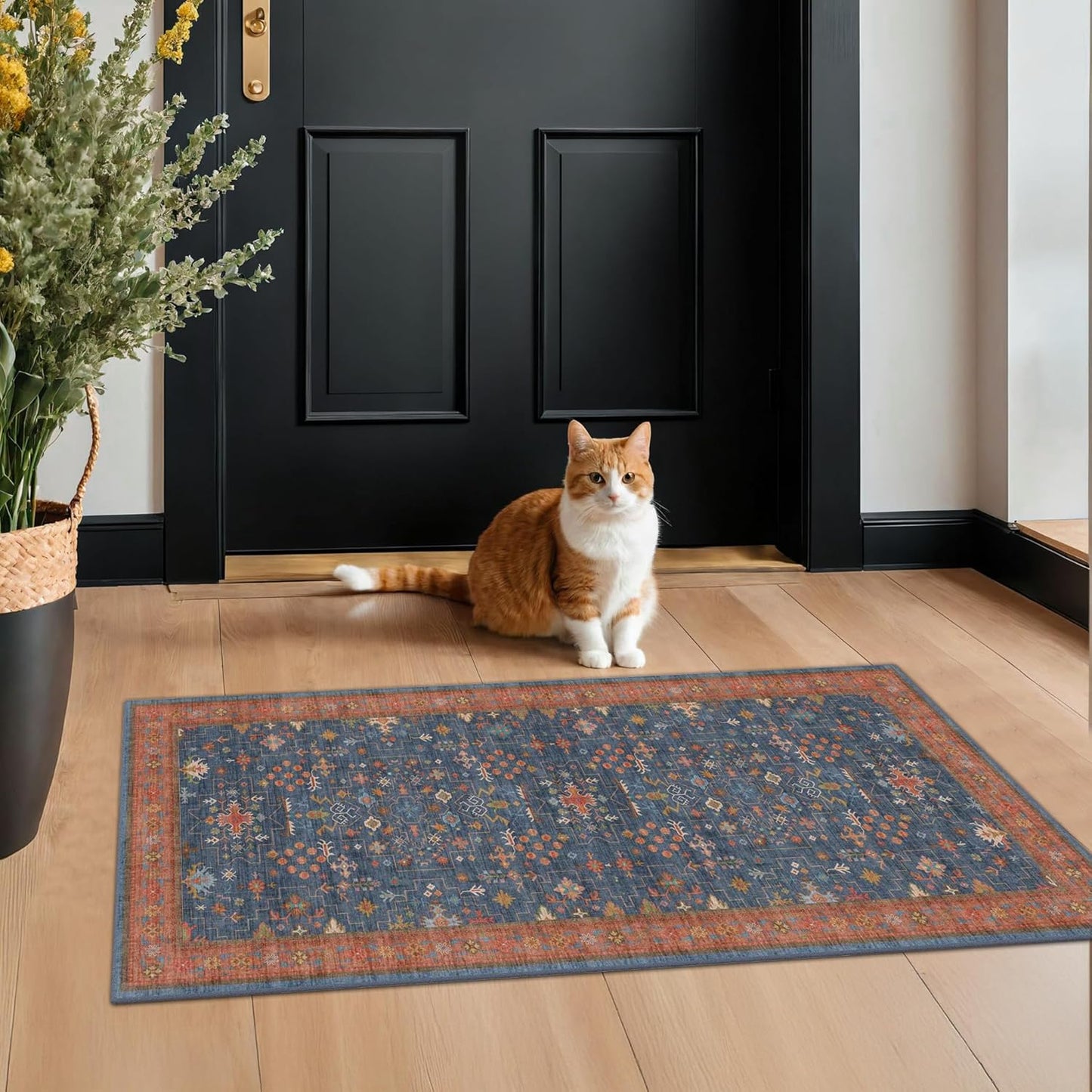 Washable 2x4 Entry Rug for Indoor Use, Perfect for Boho Decor