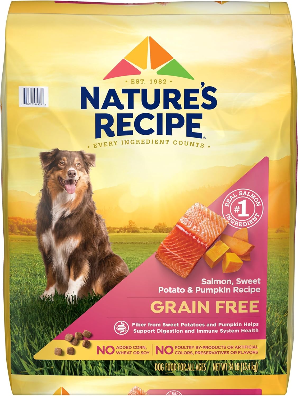 Nature's Recipe Grain Free Dry Dog Food with Salmon & Pumpkin