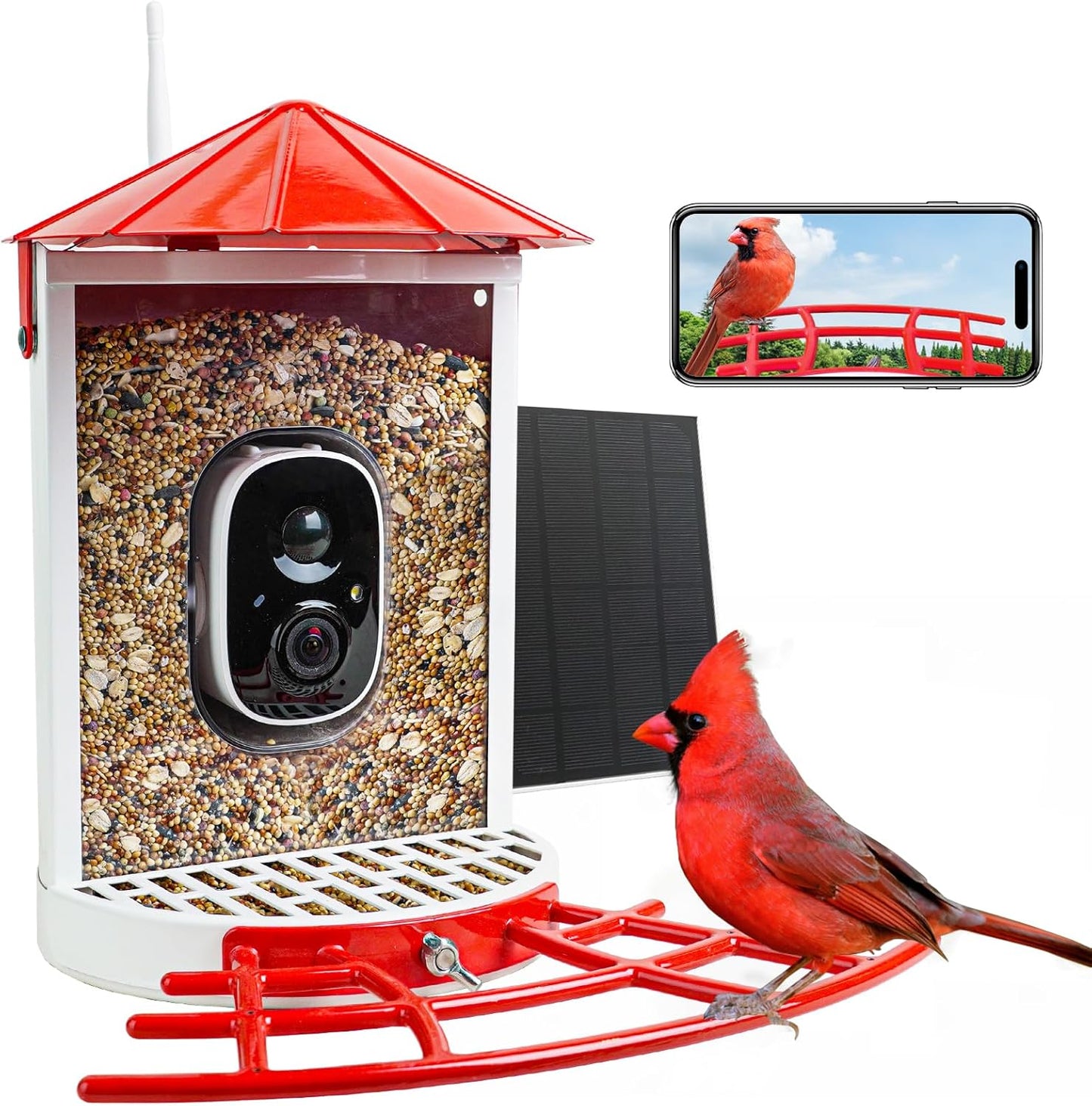 Birdkiss: Solar Smart Feeder w/ Camera & Motion Detection