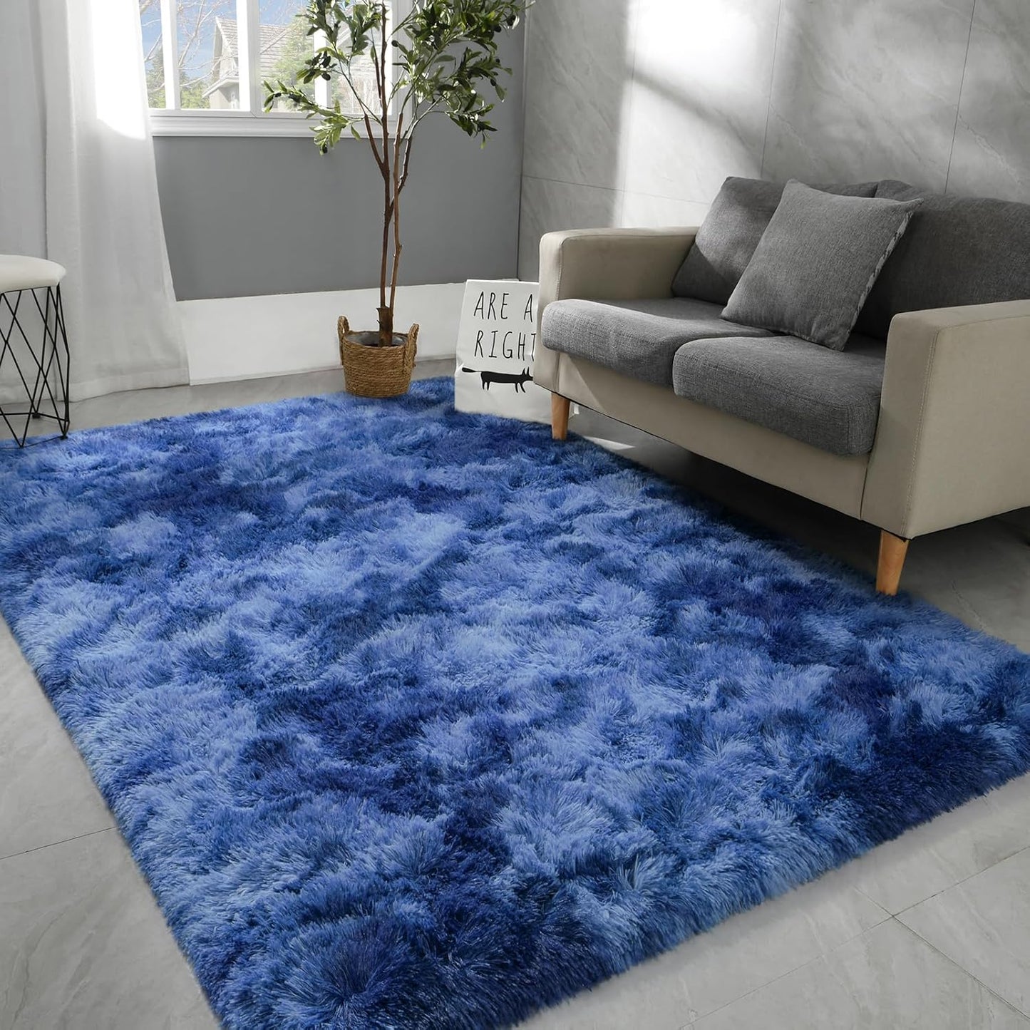 Hutha 6x9 Large Area Rugs for Living Room, Soft Fluffy Design