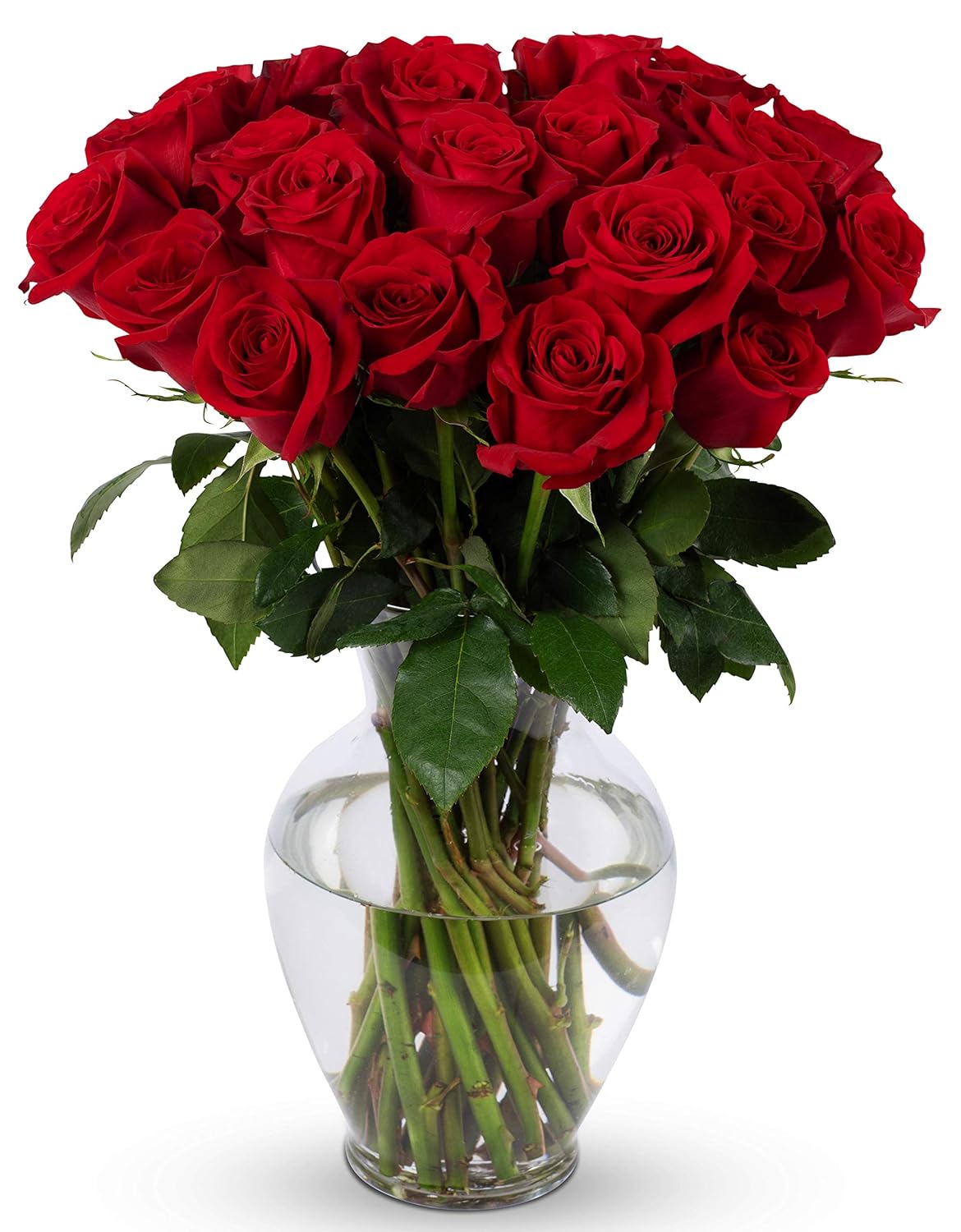 24 Stem Premium Red Roses for Delivery - Perfect Gift Idea