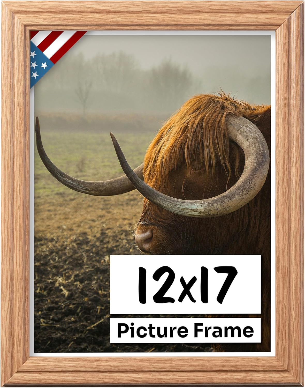 12x17 Picture Frame with UV Blocking Plexiglass for Art Display