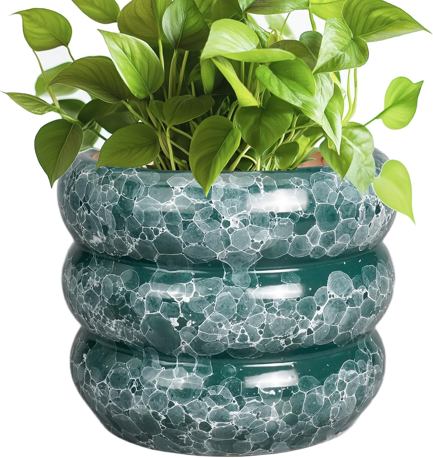 SQOWL 8 Inch Pot for Plants Indoor - Stylish Ceramic Planter