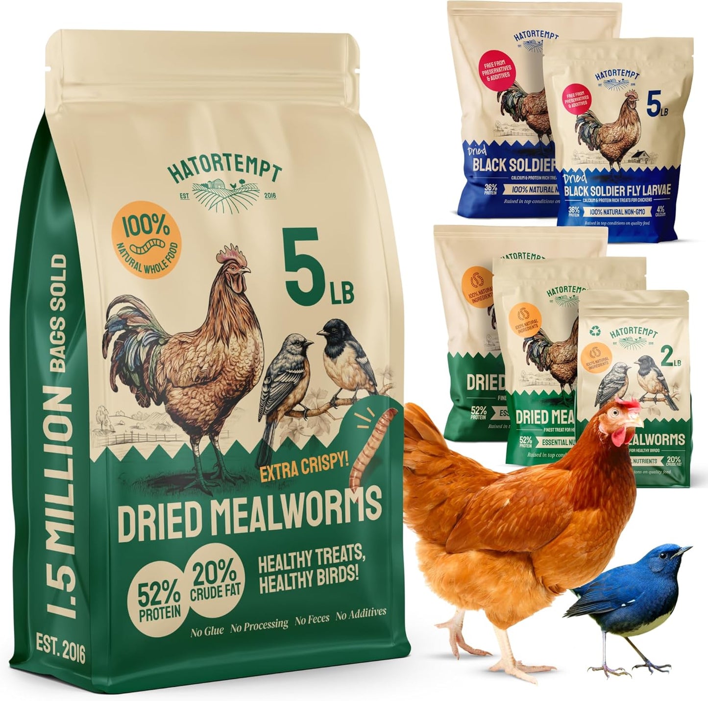Hatortempt Chicken Feed Dried Mealworms - High-Protein Treats