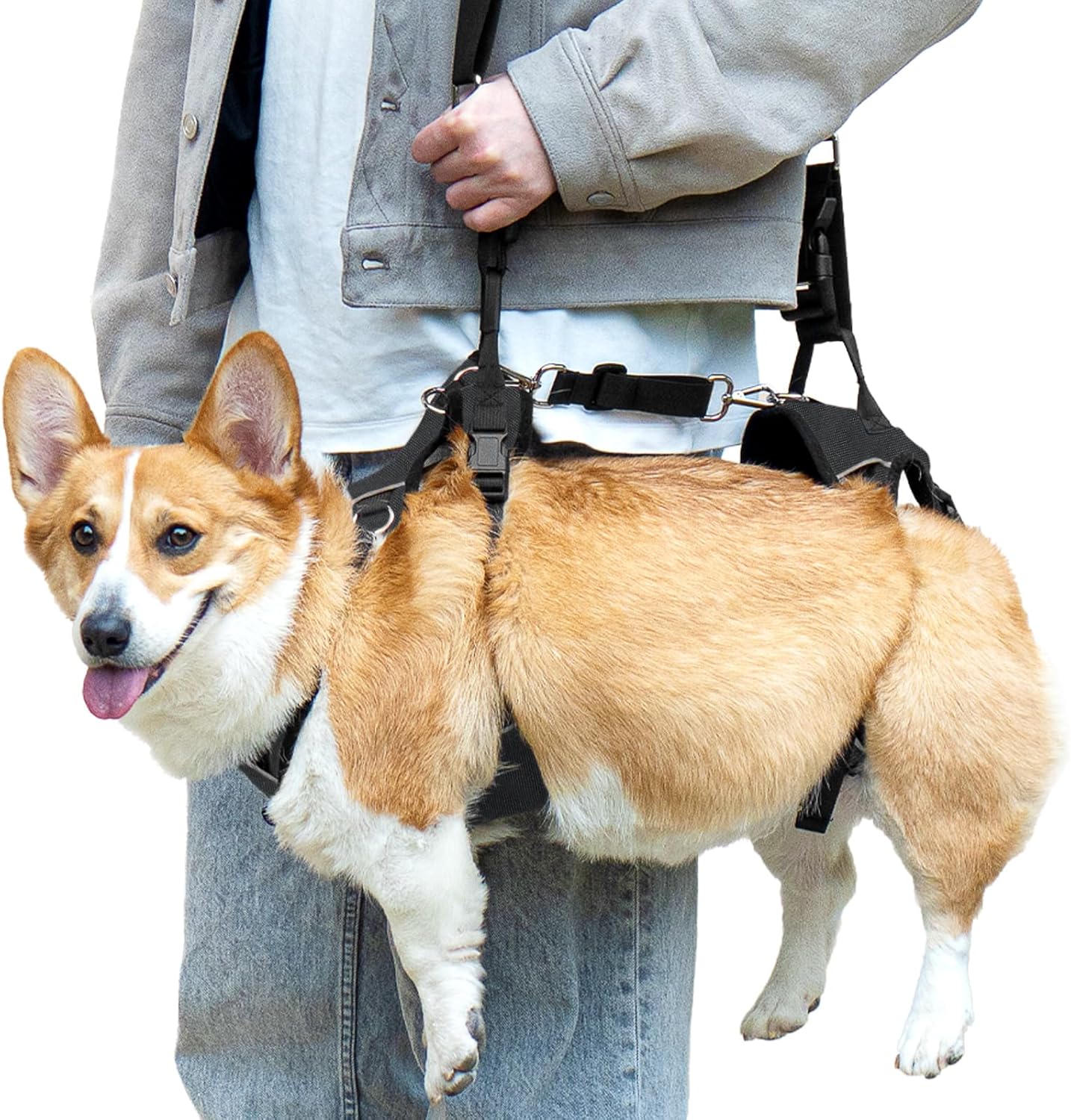 Dog Lift Harness for Senior Dogs with Joint Injuries and More