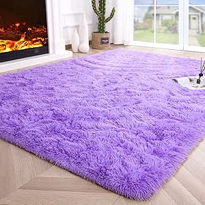 Noahas Luxury Fluffy Rugs Ultra Soft Shag Rug for Home Decor