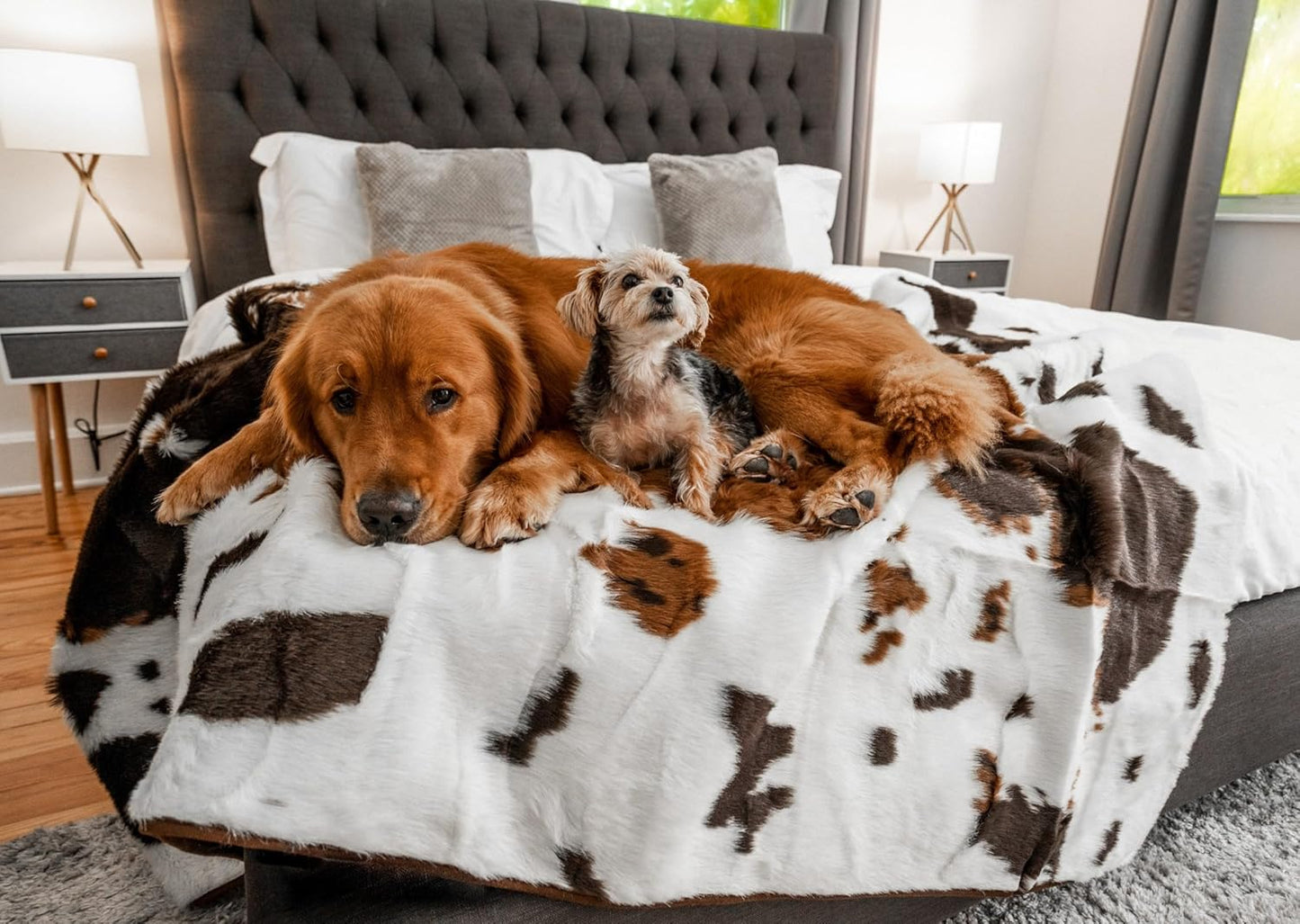 PupProtector Waterproof Throw Blanket for Pets - Cozy Comfort
