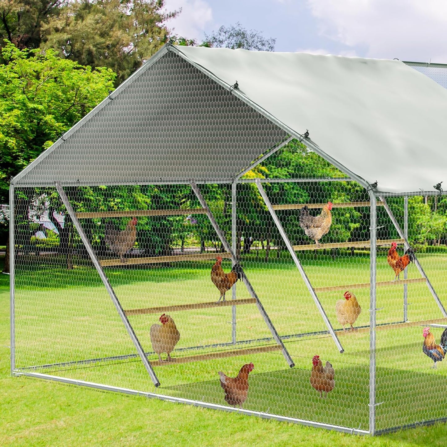 Chicken Coop Roosting Perch for Backyard Poultry - Easy to Clean