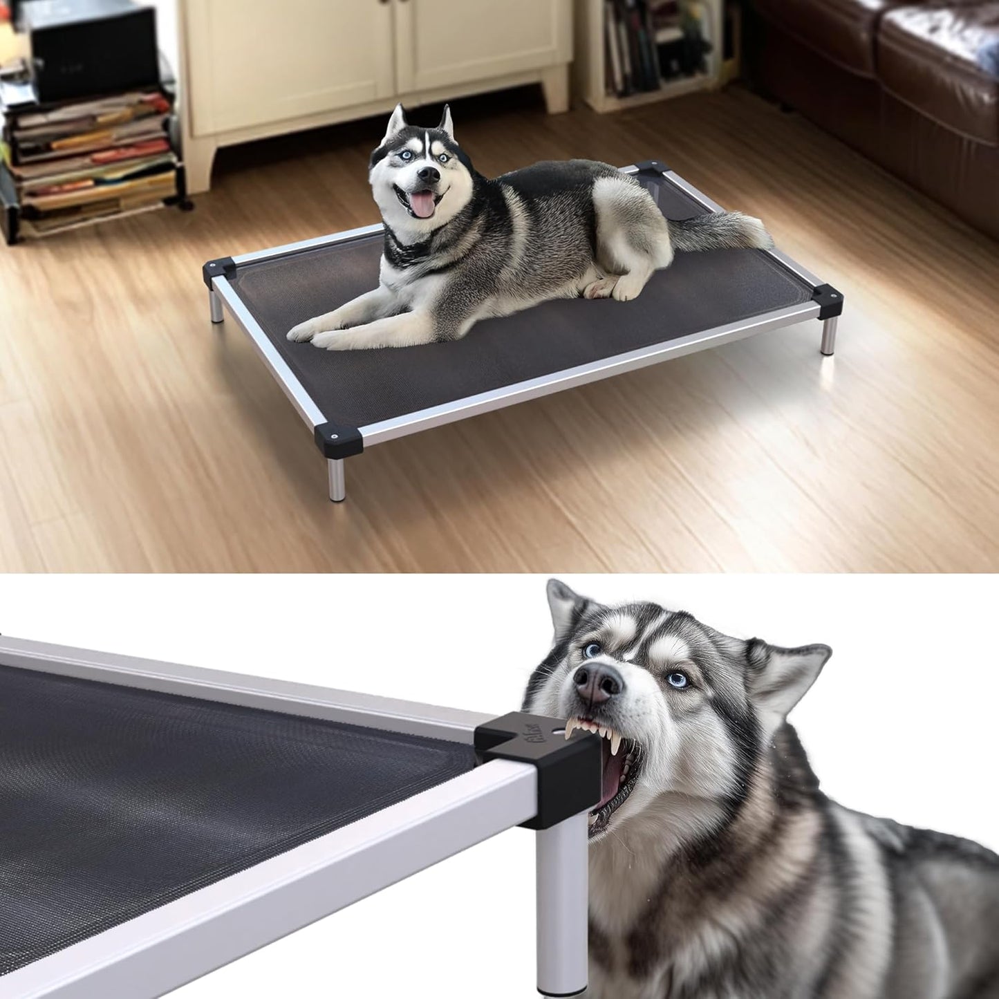 FXW TitanNest Chew-Proof Elevated Dog Bed for Medium Dogs