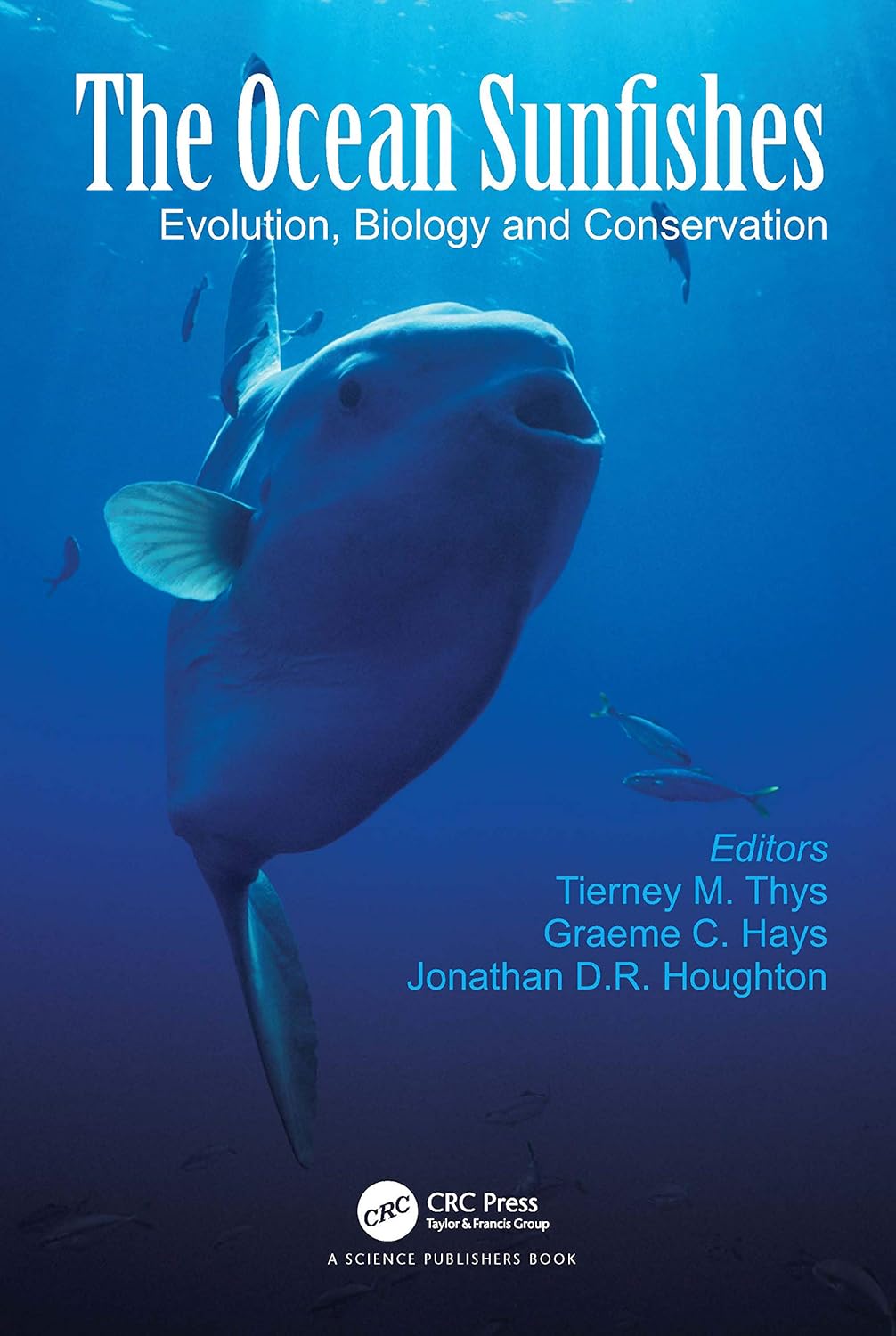 The Ocean Sunfishes: A Comprehensive Guide to Mola Mola