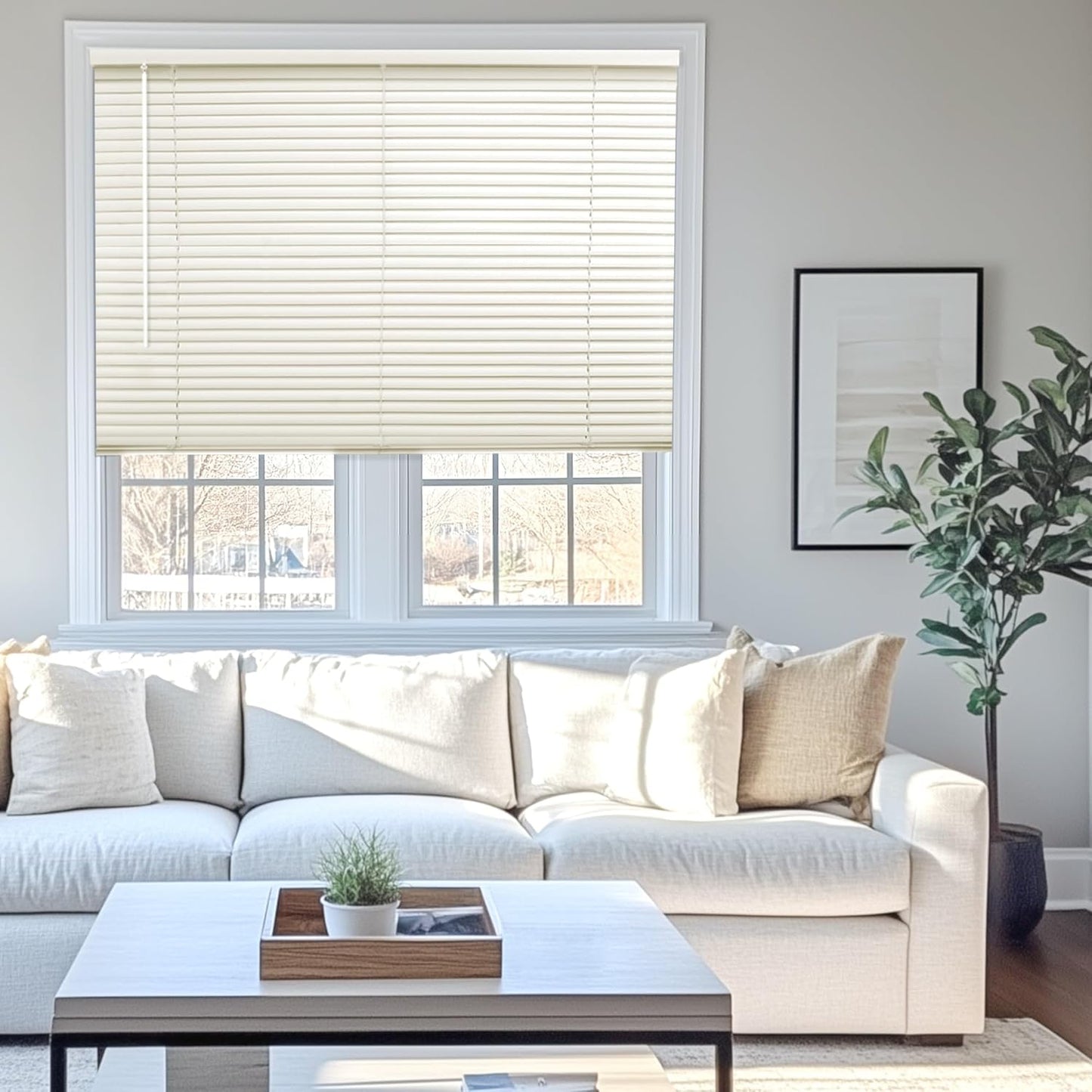 CHICOLOGY Cordless Mini Blinds for Room Darkening & Privacy