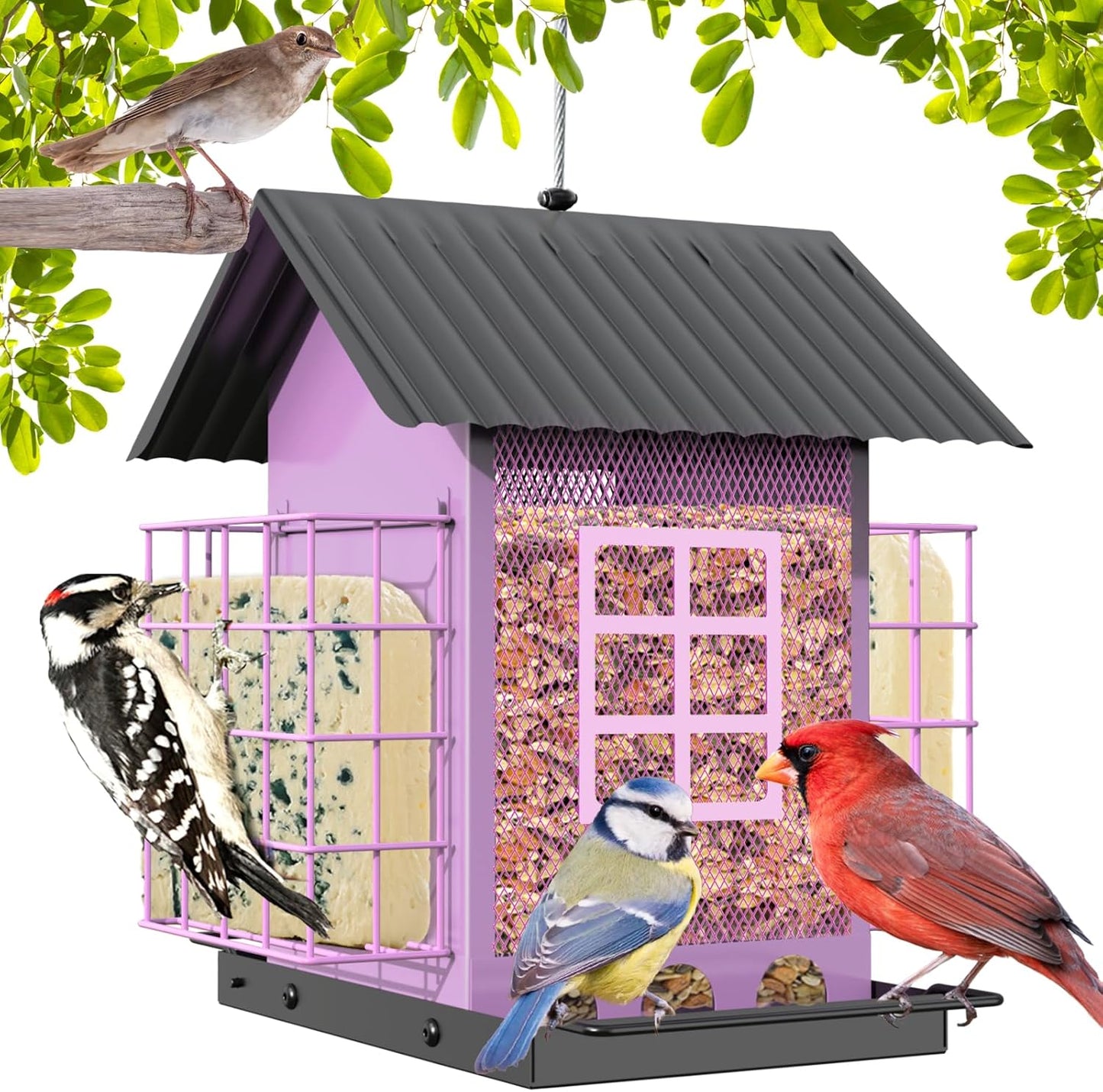 Sturdy Metal Bird Feeders for Outdoors with Double Suet Cage