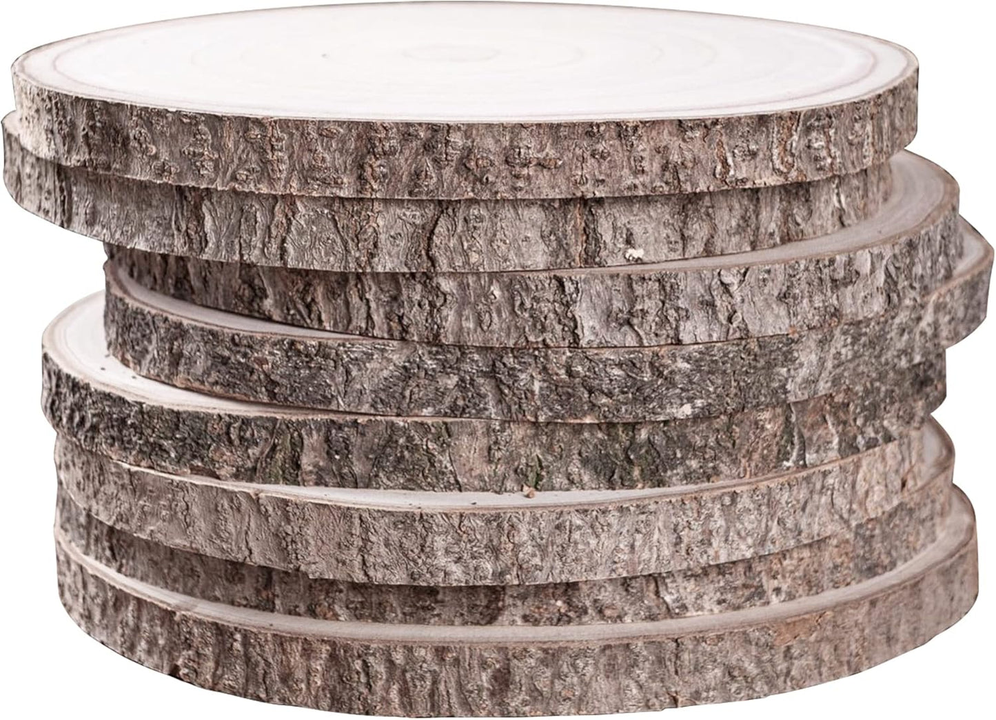 8 Pcs Large Unfinished Wood Slices for DIY Projects and Decor