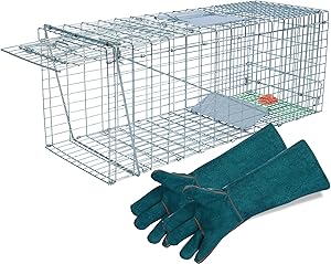 32 Inch Cat Trap Cage for Stray Cats and Raccoons - Humane Solution