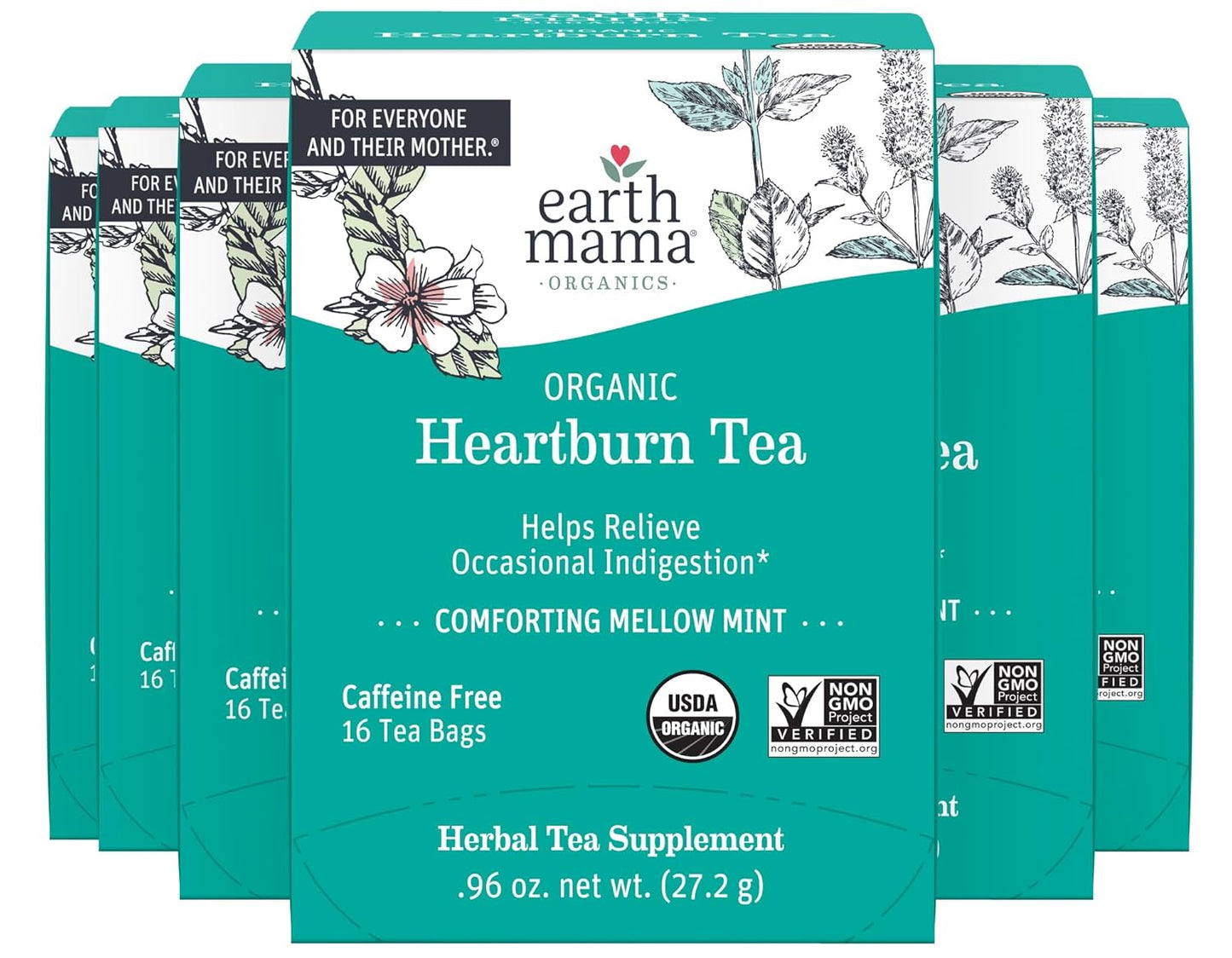 Earth Mama Organic Heartburn Tea for Soothing Relief During Pregnancy