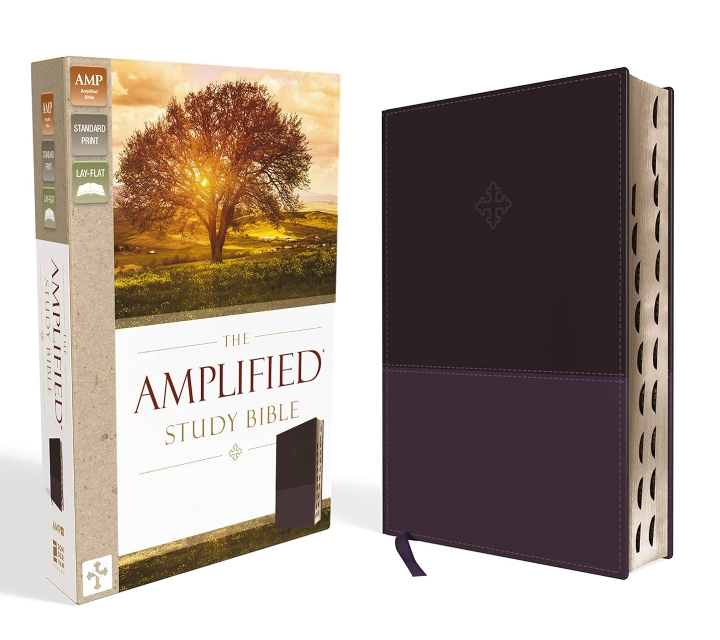 Amplified Study Bible in Leathersoft Purple with Thumb Indexing