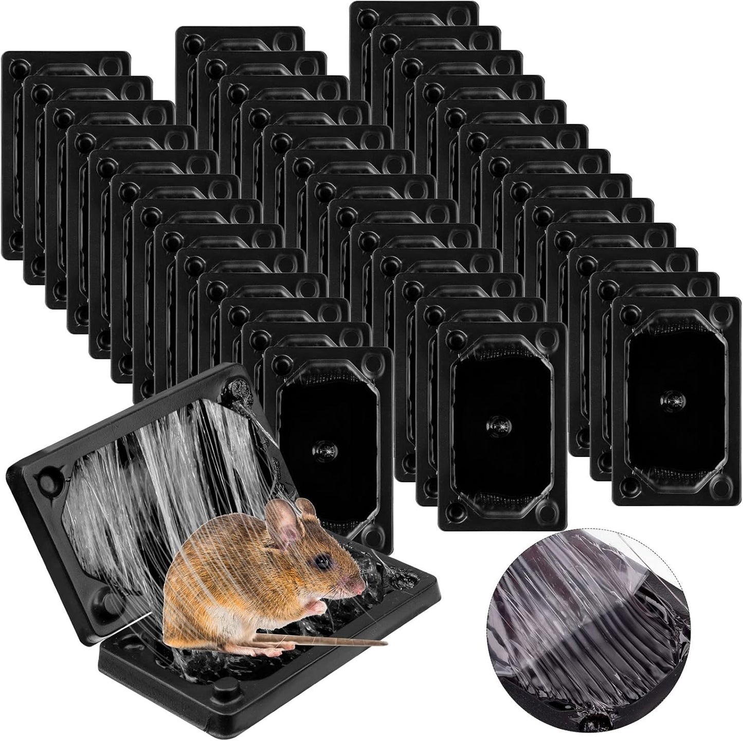 Effortless Pest Control: Qualirey Adhesive Rat Trap