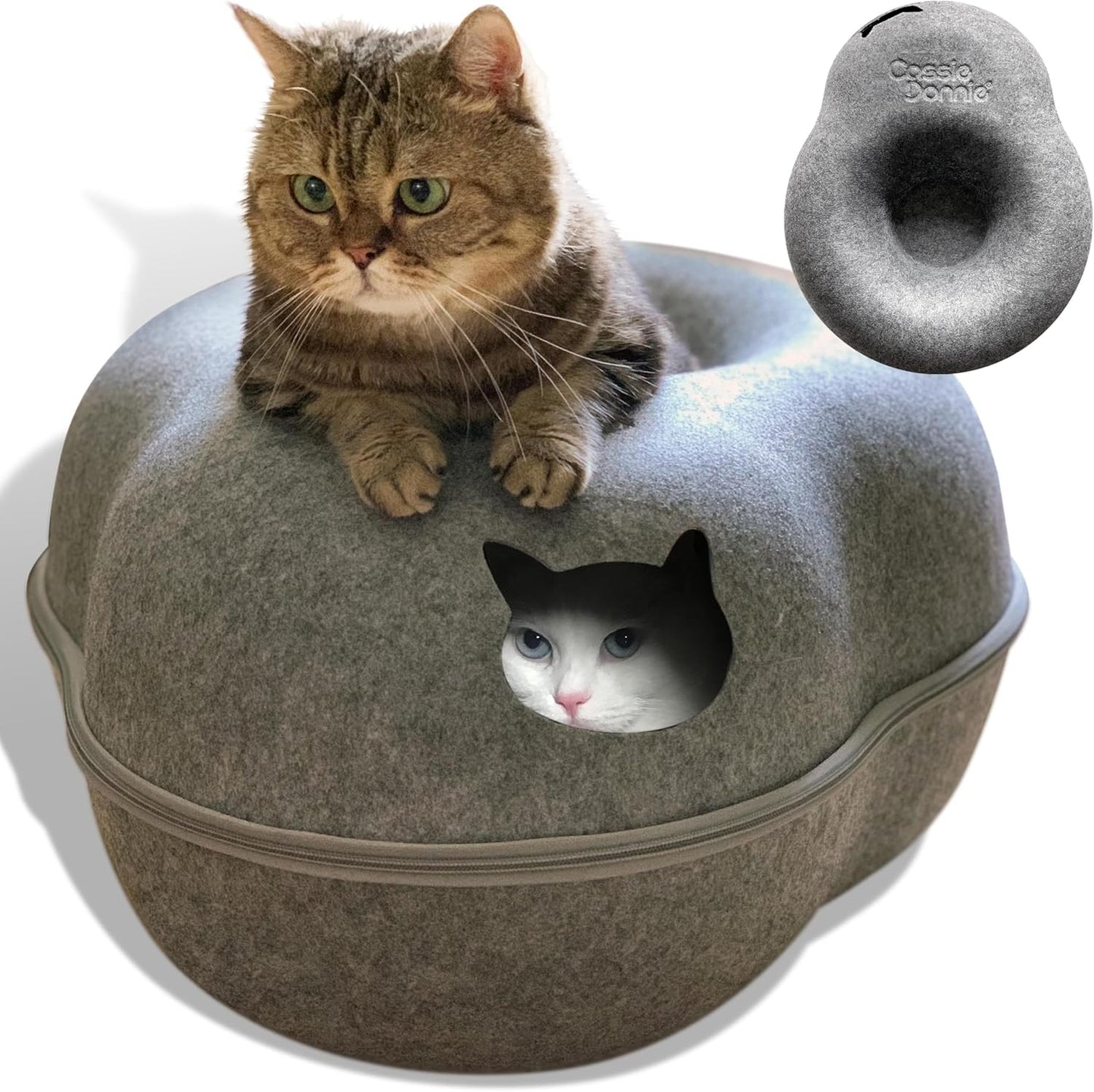 Premium Cat Bed Cave Tunnel for Indoor Cats - Cozy & Fun