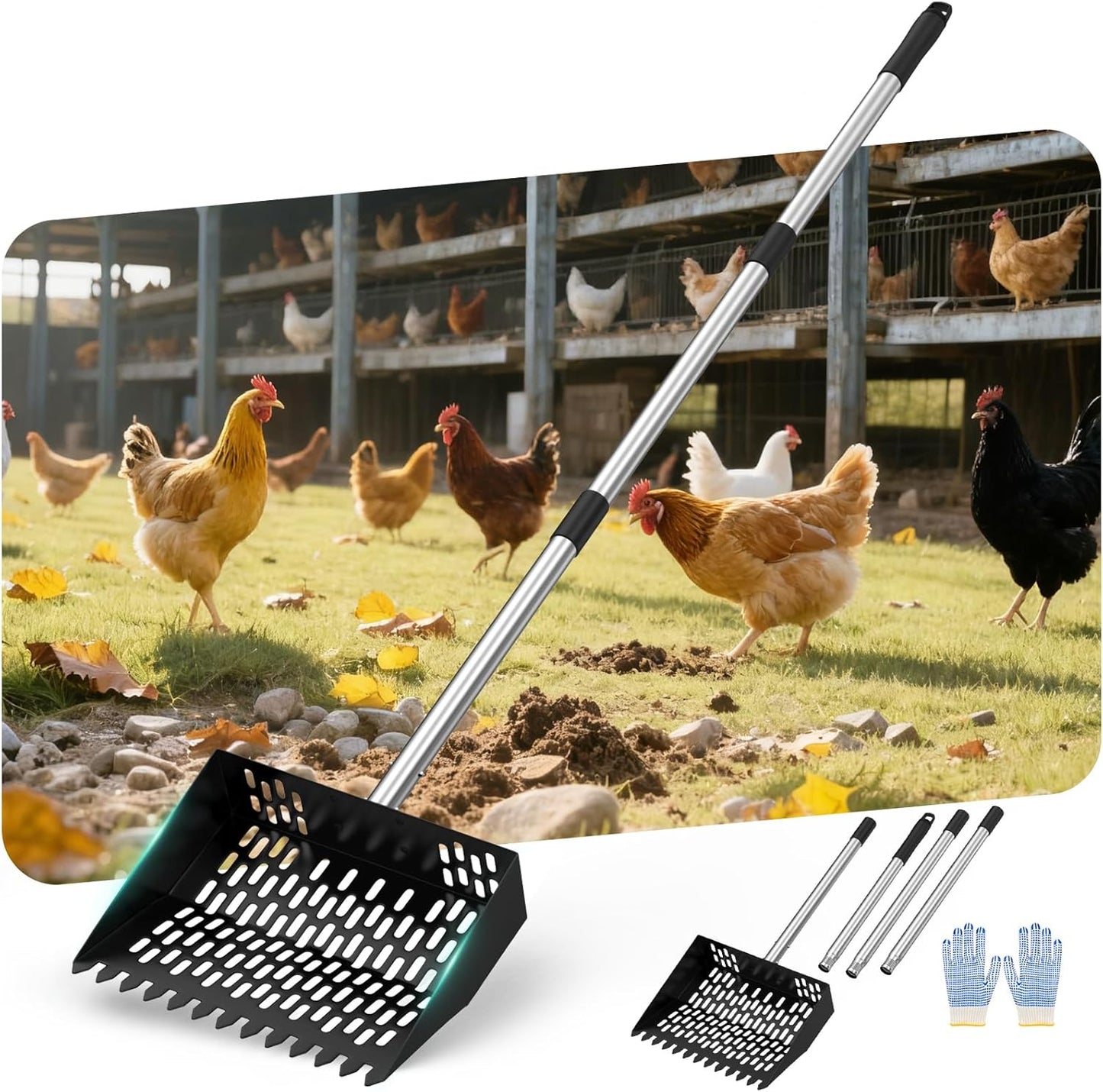Chicken Poop Scooper for Sand with Adjustable Handle and Rake