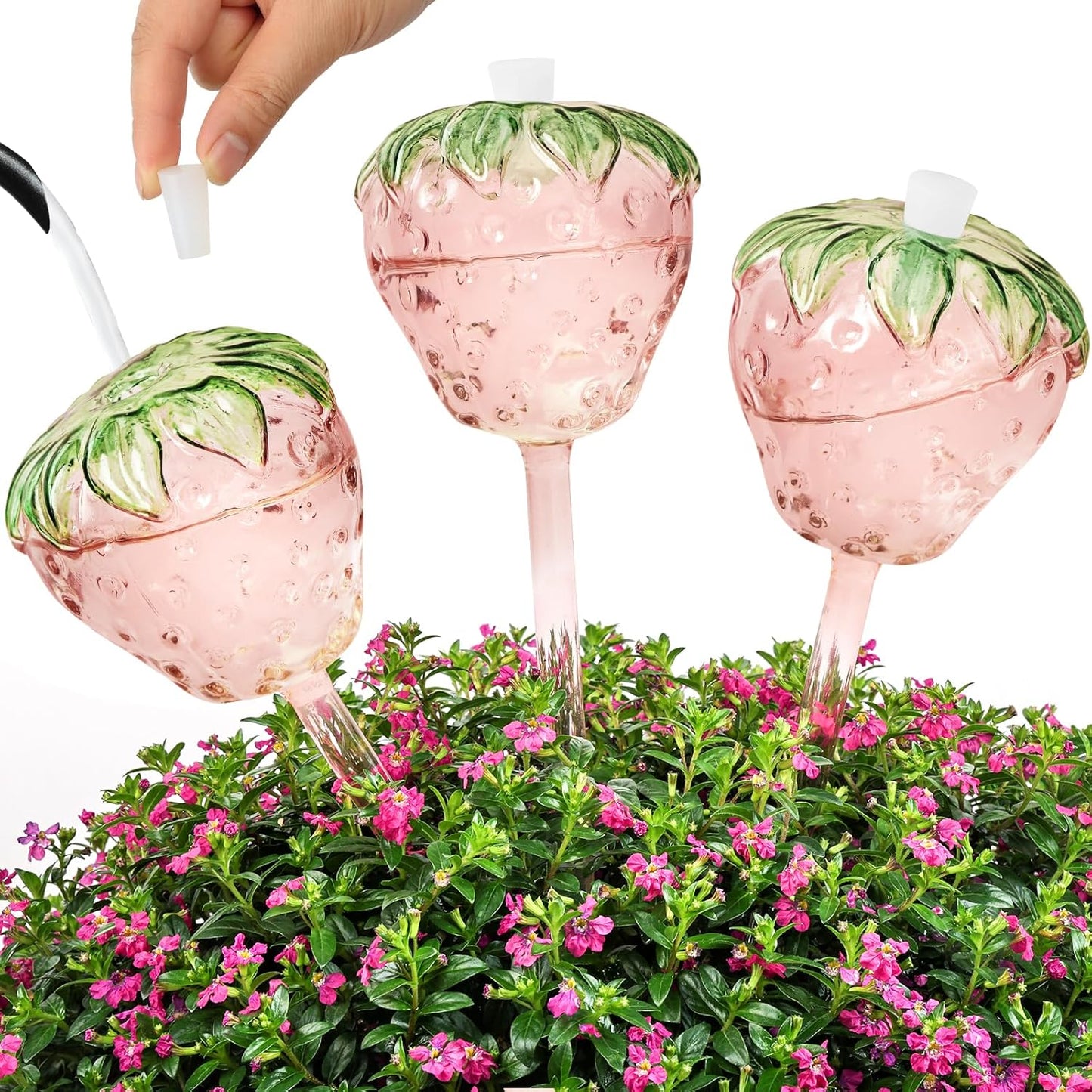Strawberry Plant Watering Globes for Indoor and Outdoor Use