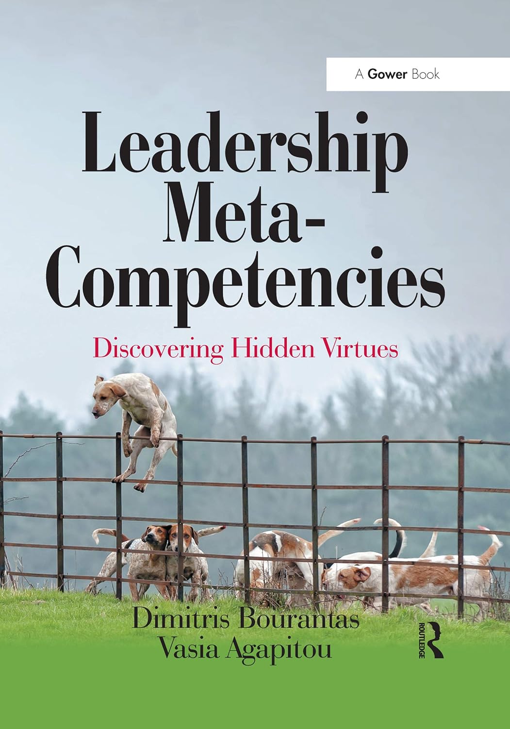 Leadership Meta-Competencies: Unlocking Your Leadership Potential
